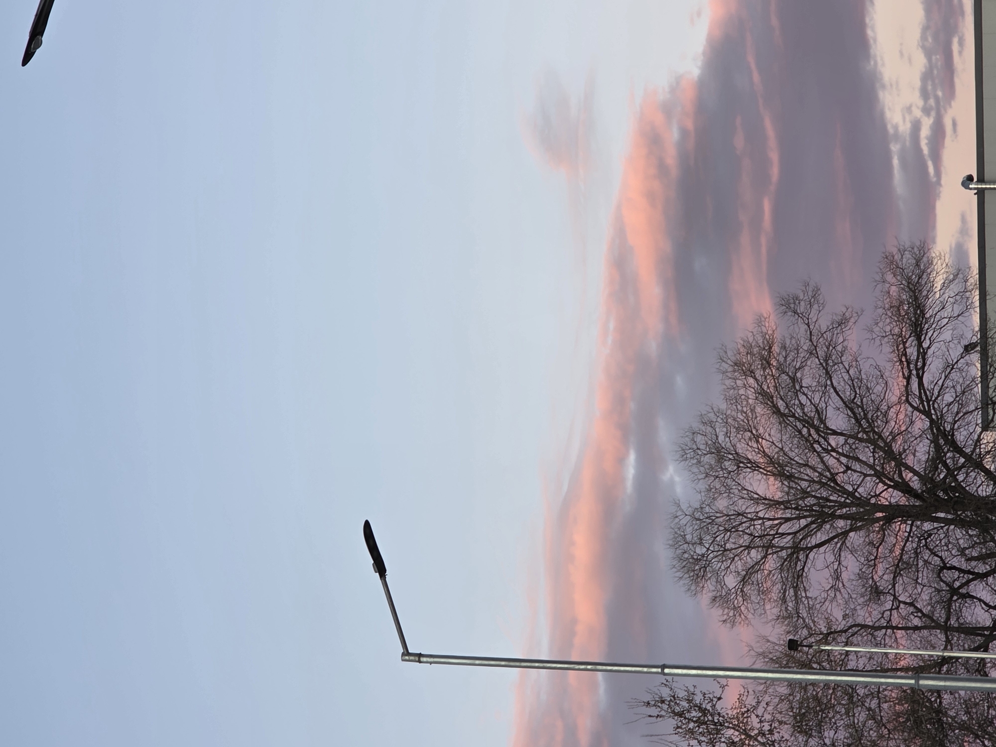 The image shows a section of the sky with cloud formations in shades of pink and gray, a bare tree with intricate branches, and two streetlights. The sky takes up a significant portion of the image, blending from a light blue to the colorful clouds on the right side. The bare tree branches extend into the sky, creating a silhouette effect against the colorful clouds. The streetlights are silver, reaching upwards into the sky. This photograph was taken in the city of Plovdiv, Bulgaria.