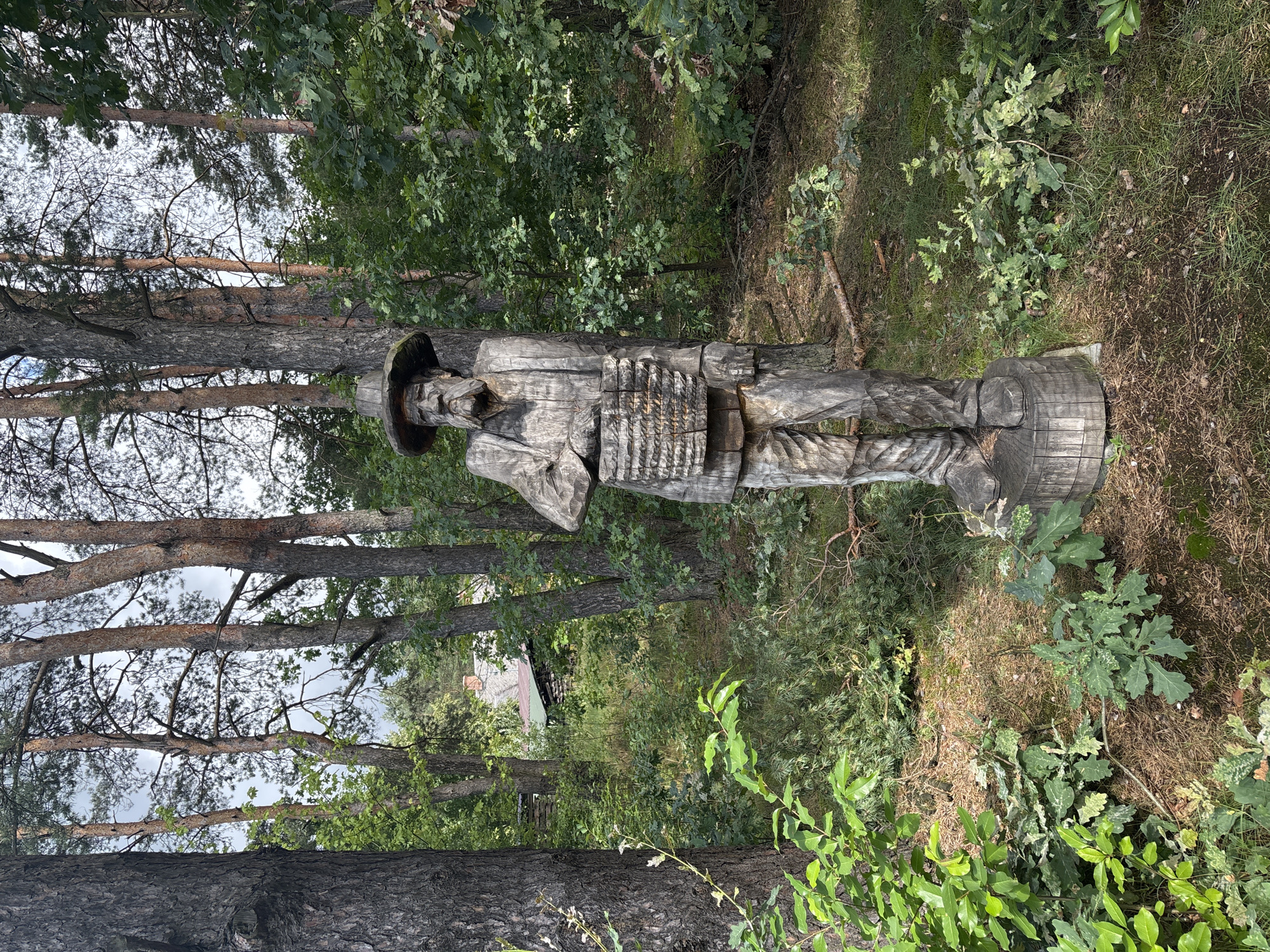 The image depicts a wooden sculpture of a man in a forest setting. The sculpture is life-sized and appears to be carved from a single log, with detailed features like a hat, beard, clothing, and a basket. The man is standing on a wooden base.
The surrounding environment is a dense forest with tall pine trees and lush green undergrowth. Sunlight filters through the trees, creating dappled light on the forest floor. In the background, partially visible through the trees, is a rustic building with a green roof and a stone chimney, suggesting it is likely a dwelling.
The location is identified as Sielachowskie, Poland. The overall scene evokes a sense of rustic charm and connection to nature.