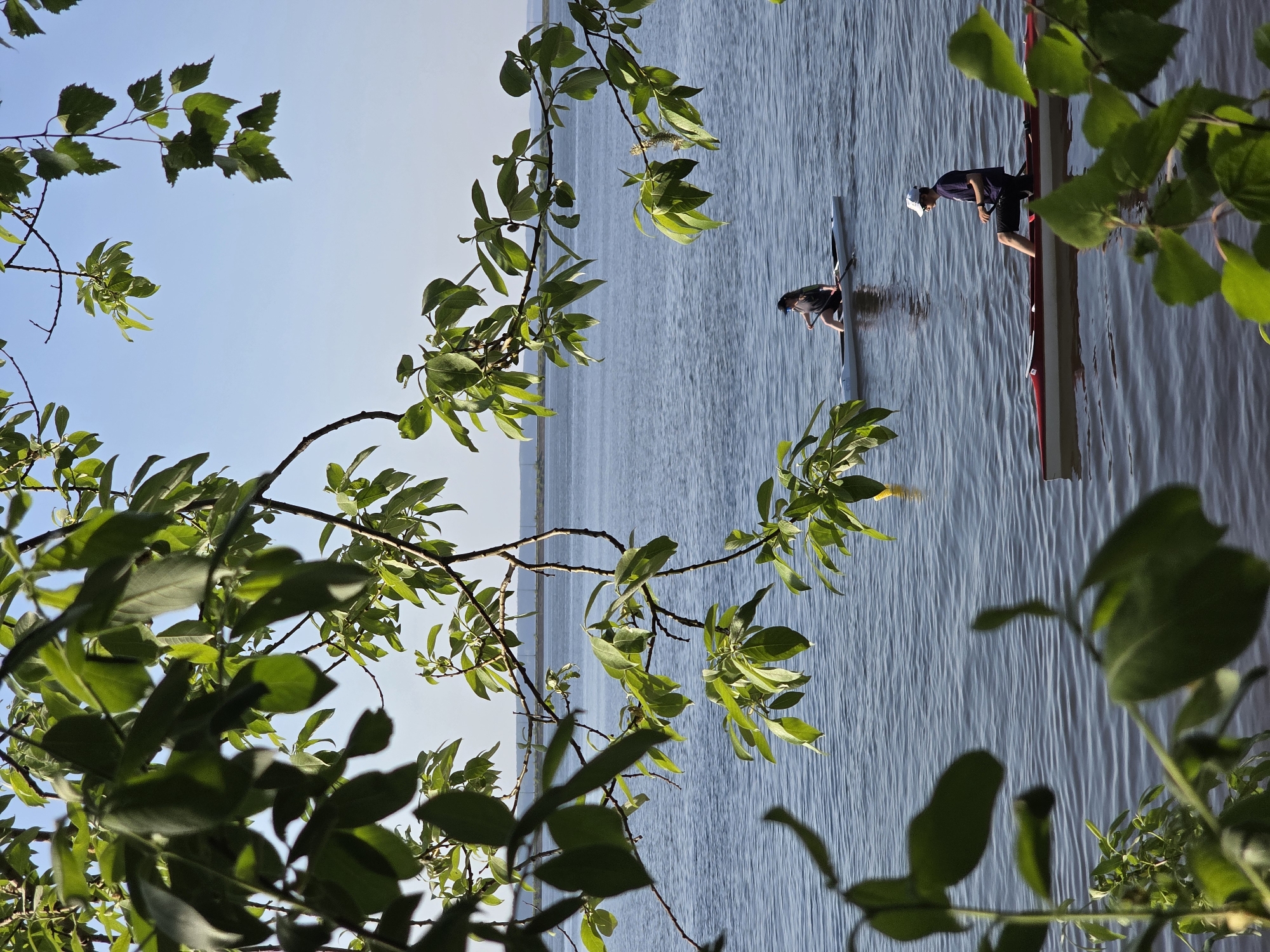 The image shows two individuals in kayaks on a body of water. One person is standing next to a red and white kayak, while the other is in a kayak and paddling with an oar. The water appears to be a lake or reservoir. Green foliage from trees frames the image, partially obscuring the view. The scene seems to be outdoors under daylight. There is no definitive information in the image that connects it to the city of Chaikovsky, Russia.