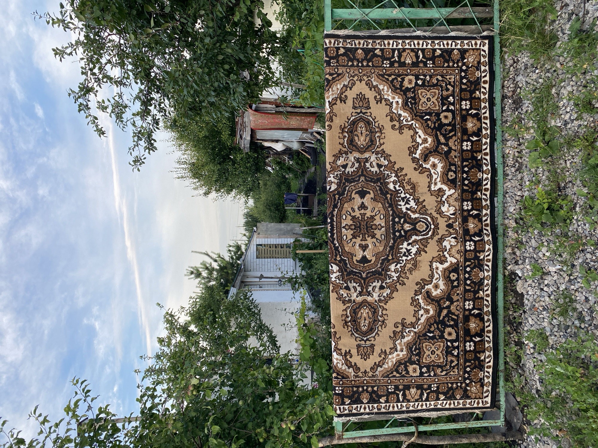 A vertical, close-up shot shows a rectangular rug hanging on a green metal fence. The rug has an ornate, traditional pattern in shades of beige, brown, and black. The main field of the rug is beige, with a large, intricate medallion design in the center, featuring swirling floral and geometric motifs. A dark brown border frames the medallion, and a narrower border of smaller floral patterns runs along the edges. The rug's fringe is visible at the bottom.
To the left of the rug, the scene transitions to an outdoor setting. Lush green trees with dense foliage dominate the mid-ground, obscuring some of the background. In the distance, a small, white house with a dark roof is partially visible amongst the trees. It appears to be a simple, possibly rural dwelling. Behind the house, there are more trees and vegetation.
To the right of the rug, the fence meets a ground covered with small, grey gravel and patches of green grass and weeds. The overall impression is that of an outdoor space, perhaps a backyard or a garden, in a rural or semi-rural location. The sky above is partly cloudy with wispy white clouds against a pale blue background.
The image is oriented vertically, suggesting it might have been taken with a mobile phone. No people are visible in the frame. The lighting indicates it's daytime, likely afternoon, with soft, diffused light. The scene conveys a sense of everyday life in a humble, natural environment. The location is Oktyabr'skii, Russia.