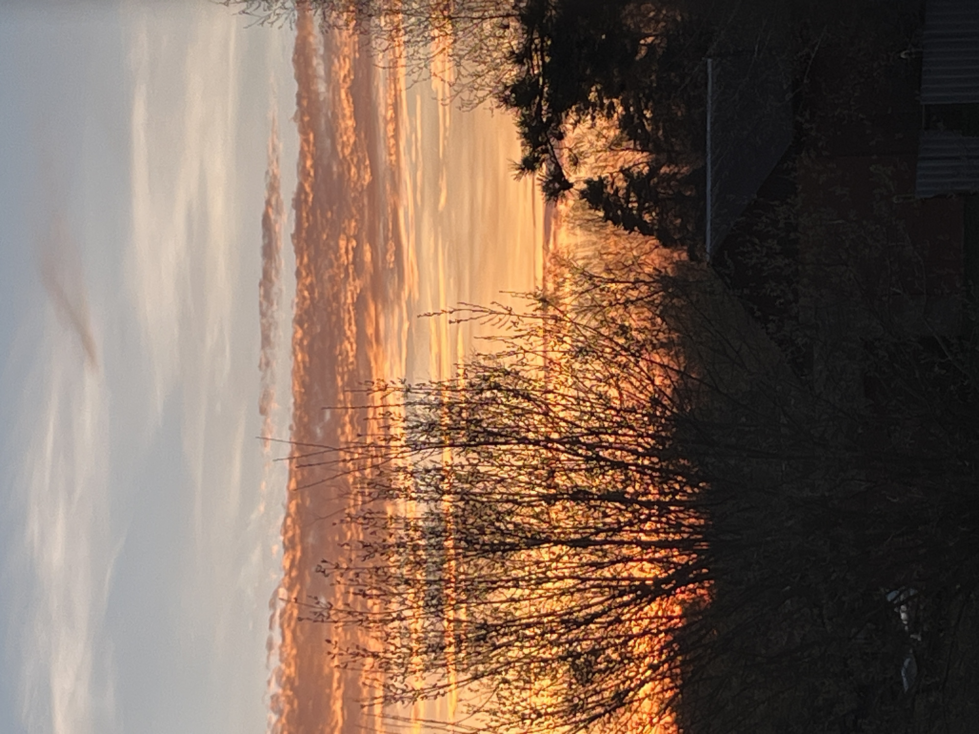 A rotated, slightly blurry image shows a sunset in what could be Раздолье, Russia, although no definitive landmarks are visible. The sky transitions from pale blue on the left to orange and red on the right, with layers of clouds. The foreground is dominated by silhouettes of bare branches of a tree. Behind the tree, a dark shape suggests a building. The lighting indicates the sun is setting on the right side of the frame. No people or specific objects besides the aforementioned are visible. The environment seems quiet and still, typical of a sunset scene.