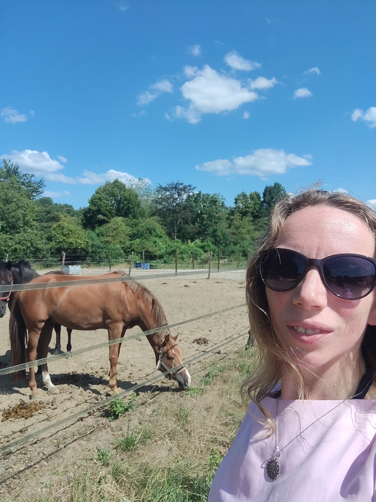 The image is a selfie taken outdoors with two horses in the background. The person in the foreground is wearing sunglasses and a light purple shirt with a silver pendant necklace. The background shows a sandy paddock with a fence and several trees. The sky is blue with some white clouds. The scene appears to be a farm or equestrian center. The location of Winterswijk Huppel, Netherlands is not explicitly visible in the image but is provided as context.