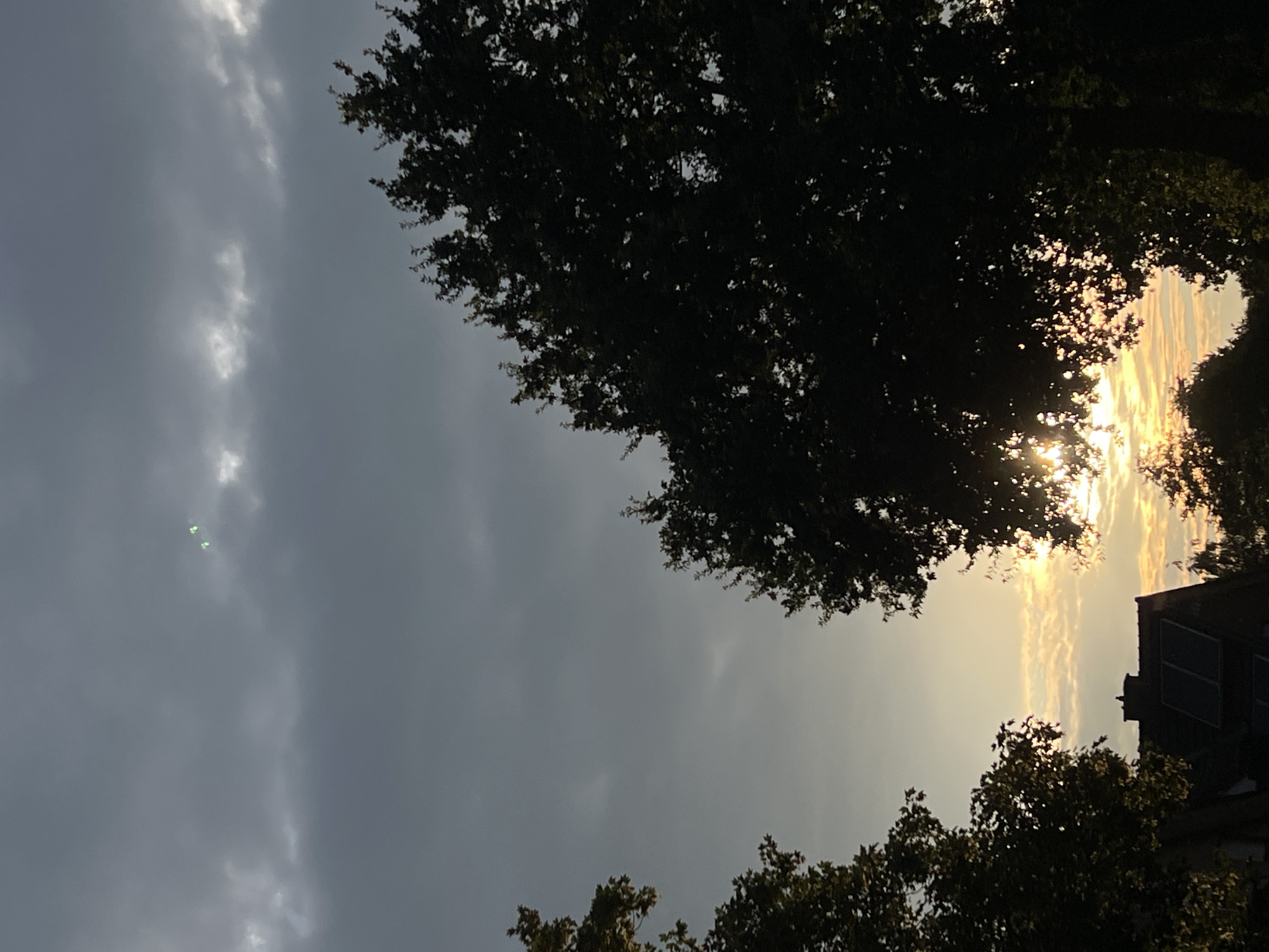The image is a vertical, outdoor shot of a cloudy sky with trees and a house in the foreground. The sky is dark and overcast, with patches of lighter clouds and a hint of sunset on the horizon. Two small green lights are visible in the sky, to the right of center. In the foreground, silhouetted trees frame the scene, with the branches and leaves obscuring parts of the sky. A house with a dark roof and solar panels is visible below the trees, on the left side of the image. The overall lighting suggests it is either early morning or late evening, with the sun low on the horizon. The location is not specified beyond "Unknown, Unknown".