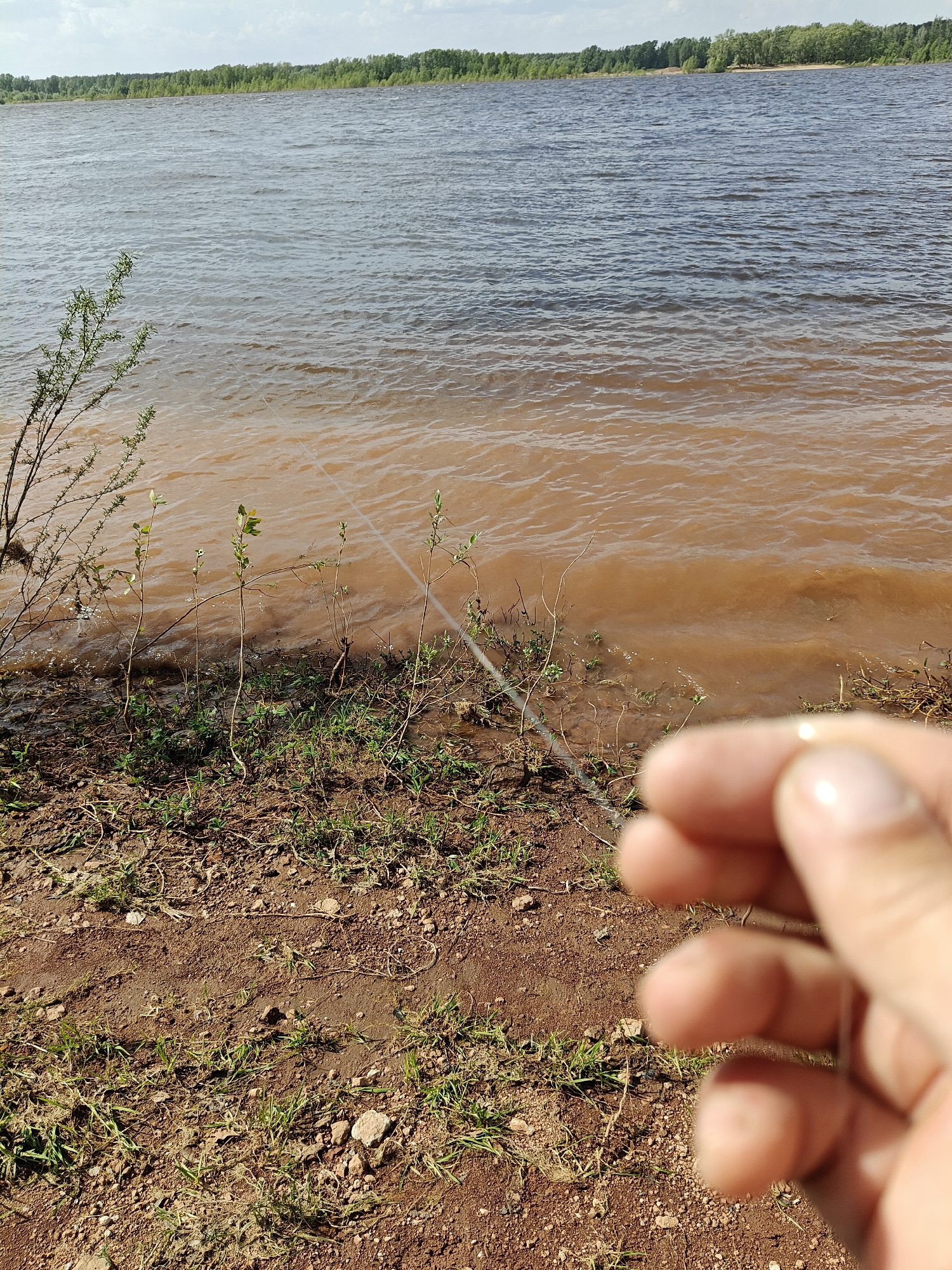 The image depicts a view from the shore of a body of water, with a hand holding a fishing line in the foreground. The water appears muddy, transitioning to a darker hue further out. Small plants grow along the shoreline, with trees visible in the distance across the water. The ground near the shoreline is earthy and somewhat rocky, with patches of green grass. The location is Прикамский, Russia.