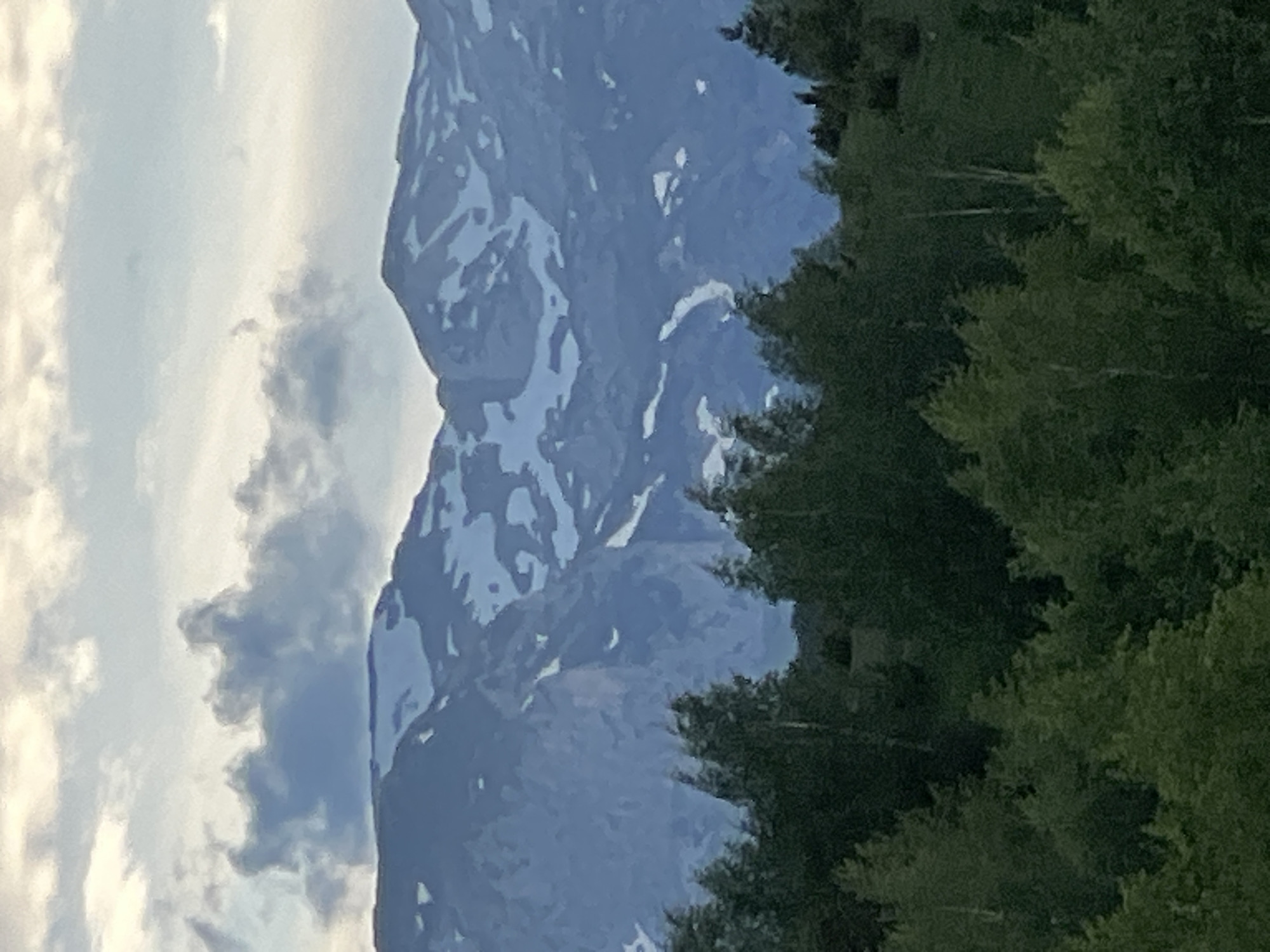 The image displays a mountainous landscape under a partly cloudy sky. The sky, occupying the upper quarter, features scattered clouds in shades of white, light grey, and pale blue, with hints of yellow in the upper left, indicating diffuse light. Below the sky, a distant mountain range is visible, characterized by prominent blue-grey peaks and slopes extensively covered with irregular patches and streaks of white snow. The mountain texture appears rugged and weathered. The lower two-thirds of the image are dominated by a dense forest, composed primarily of deciduous trees with varying shades of green foliage. Some lighter-toned trunks are visible within the forest, suggesting birch or similar species. The trees exhibit a natural, somewhat unkempt density, without clear paths or human structures. No individuals, objects, or actions beyond the natural environment are discernible. The scene is located in Unknown, Unknown.
