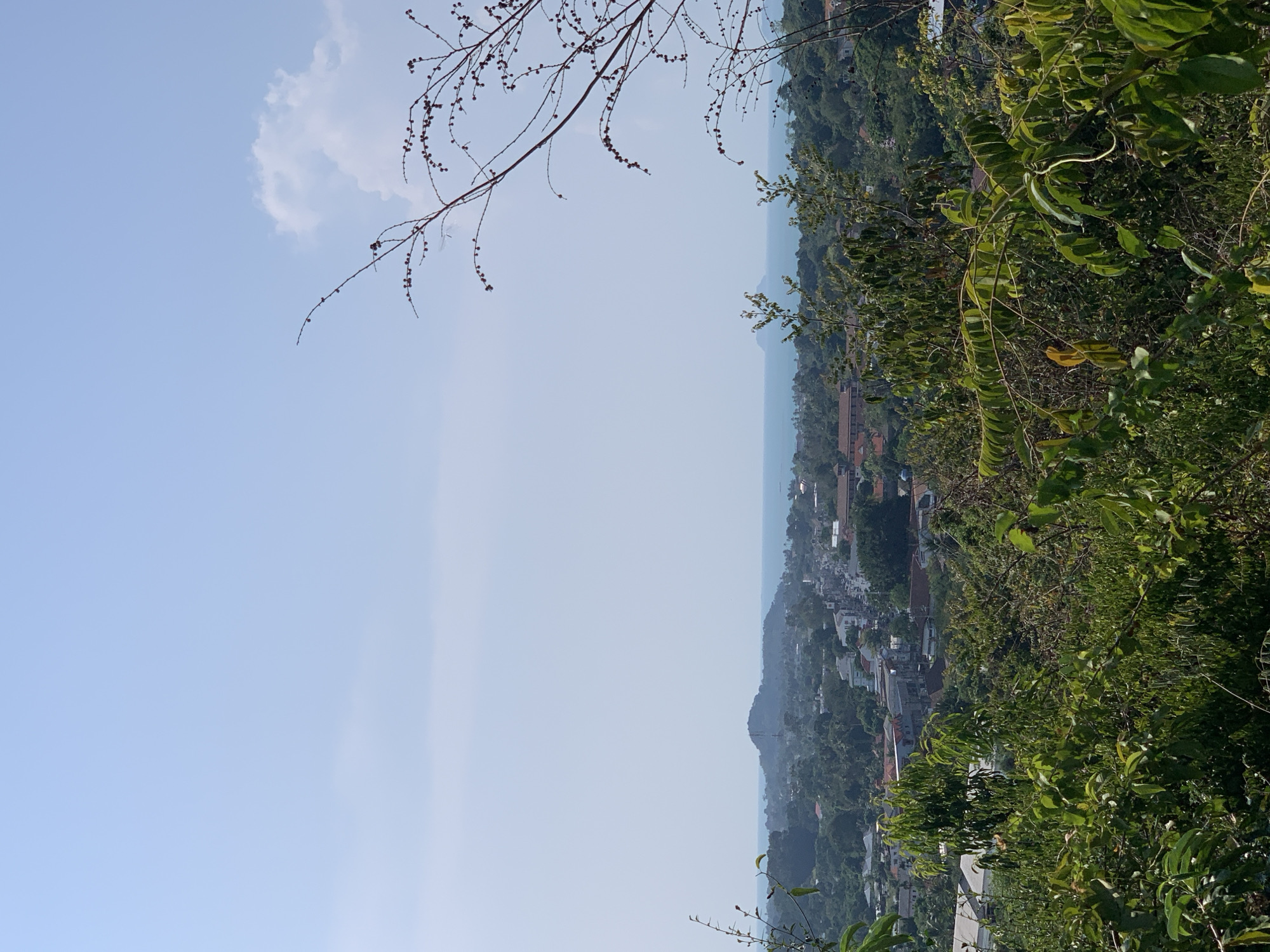The image shows a slightly hazy, elevated view of บ้านบางรักษ์, Thailand. The sky is light blue with a scattering of clouds. Vegetation is prominent on the right side, and a thin branch with small fruits is visible at the top. In the middle ground, buildings are densely packed, extending to the coastline. A hint of the ocean can be seen in the distance.