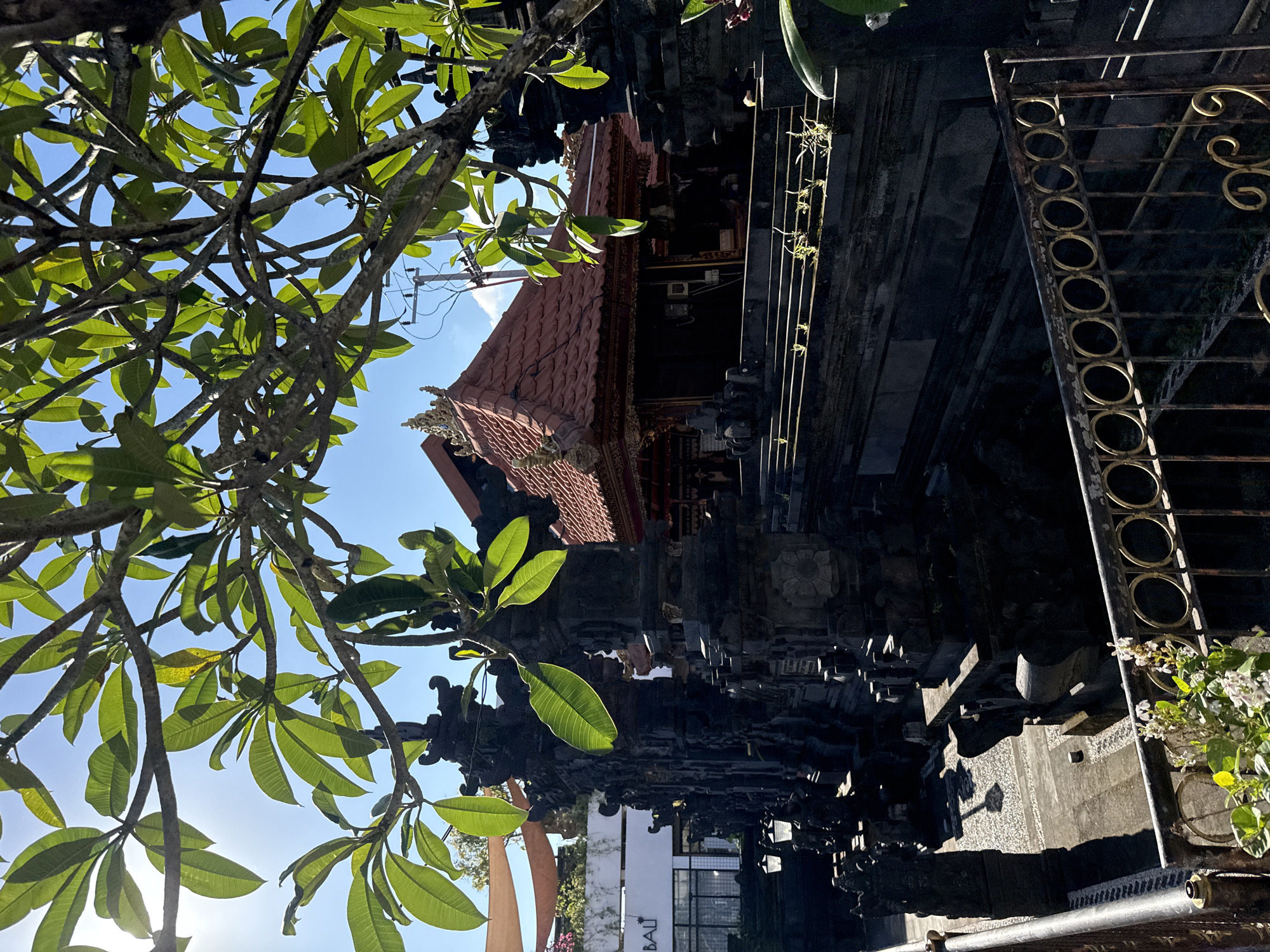 A bright outdoor scene captures a traditional Balinese building or temple complex, viewed through the dense, leafy canopy of what appears to be a frangipani tree. The image is taken on a sunny day, evidenced by the clear blue sky and strong light filtering through the green leaves, creating highlights and shadows.
In the foreground, a network of tree branches covered in vibrant green leaves fills a significant portion of the frame, obscuring some of the background. The leaves are sharply defined, with some areas appearing translucent from the backlighting.
Behind the foliage, a traditional building with a distinctive reddish-brown tiled roof is visible. The structure showcases intricate dark stone carvings and multi-tiered architectural elements, characteristic of Balinese design. Parts of the building's facade are composed of dark, textured stone. To the right, a decorative metal fence or gate features gold-colored circular and scrolling patterns, partially weathered. Below this, a small plant with white flowers adds a touch of brightness.
Further into the background, a white sign with black text is partially visible, clearly showing the word "BALI." Utility wires and a pole can also be seen against the sky. The scene depicts a serene and culturally rich environment, typical of North Kuta, Indonesia, with no individuals or specific activities present.