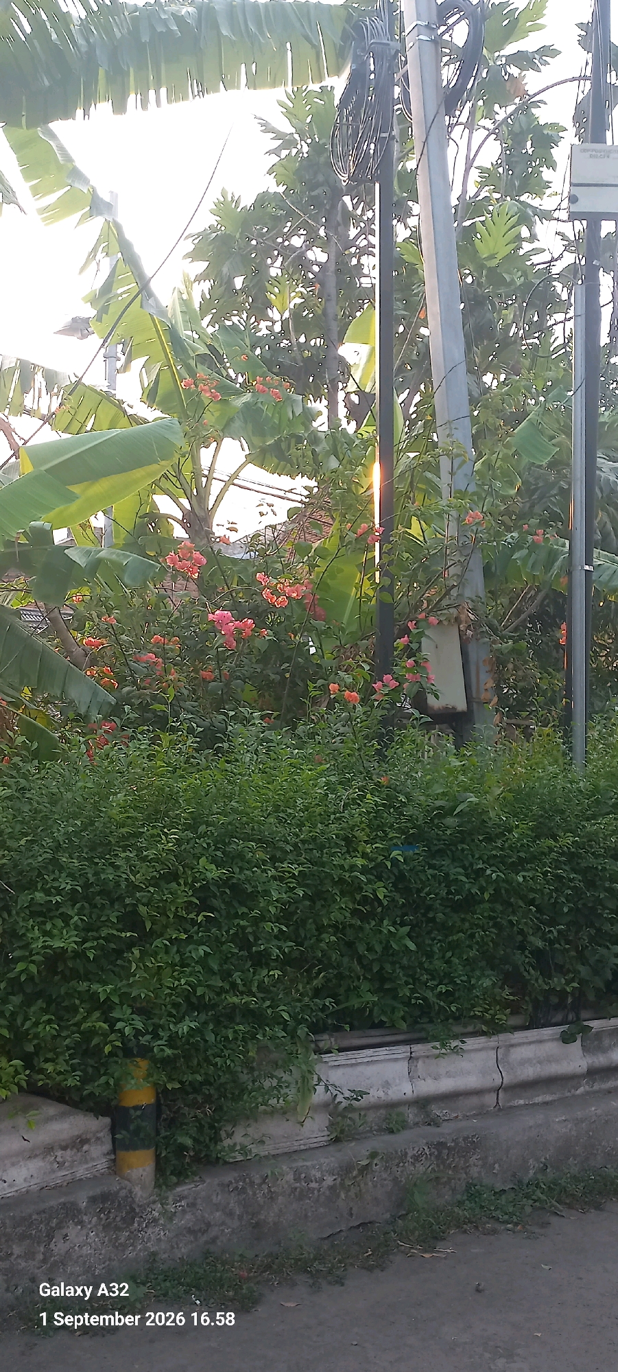 The image captures an outdoor scene with lush green foliage and pink bougainvillea flowers. A concrete barrier with a yellow and black striped pole is visible in the foreground, bordering a paved area. Overhead, a utility pole with tangled wires and a light fixture stands amidst the greenery. The scene appears to be a roadside or public area in North Jakarta, Indonesia, based on the timestamp information "Galaxy A32 1 September 2026 16.58," which suggests a location tag embedded in the photo. The lighting indicates it might be late afternoon or early morning. No people are present in the frame.
