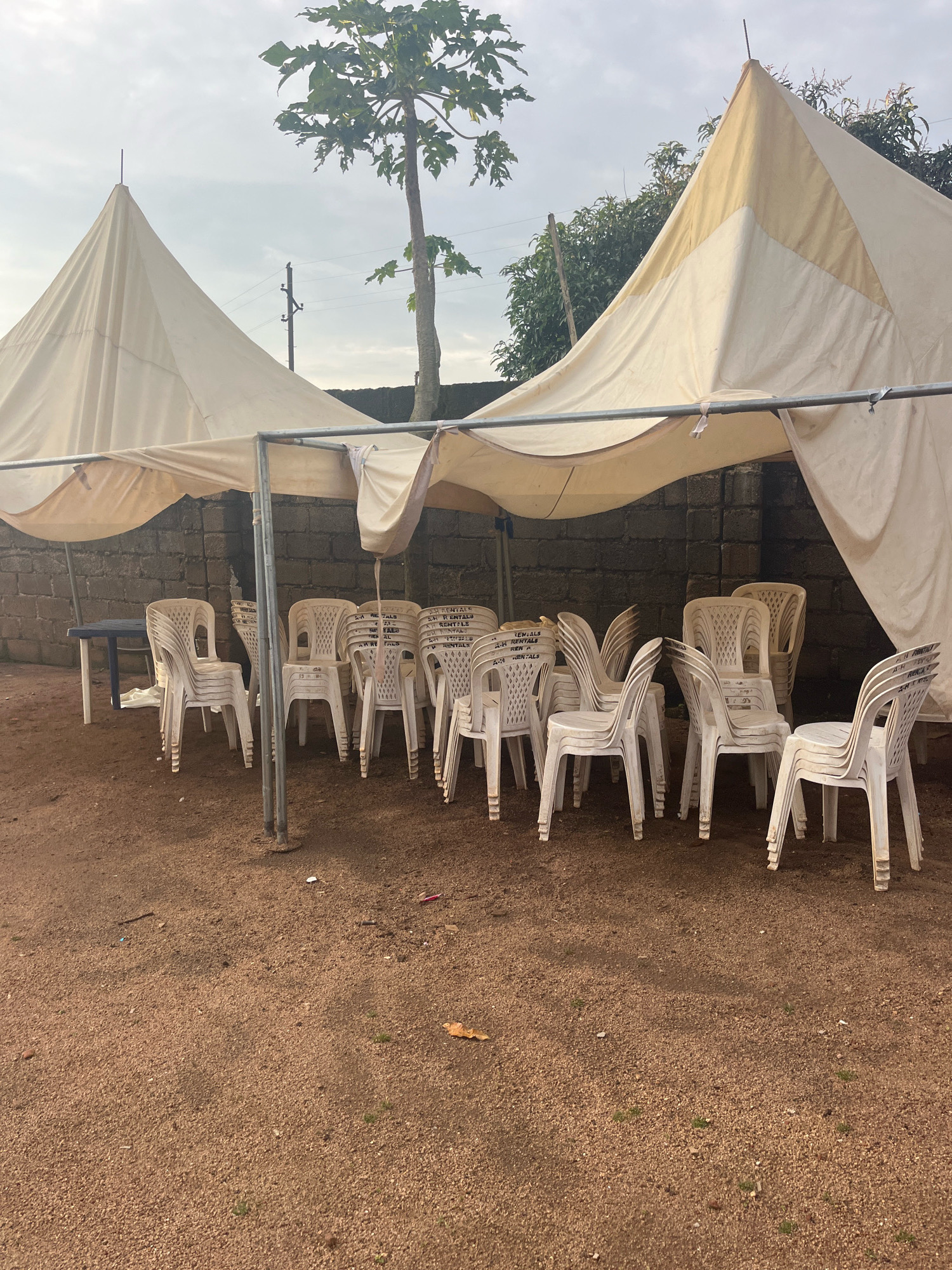 In Barakin Lerawi, Nigeria, an outdoor scene is captured beneath a large, cream-colored tent structure supported by metal poles. The tent covers a collection of white plastic chairs, many of which are stacked neatly. To the left, a dark blue table is visible, also under the tent's shade. Behind the chairs, a low wall constructed of grey bricks forms a backdrop. A papaya tree with large green leaves stands prominently behind the tent on the right side of the image. The ground is covered in reddish-brown gravel and dirt, with scattered leaves and debris. The sky above is overcast, suggesting a cloudy day. The overall impression is of a setup for an outdoor event, possibly a gathering or reception.
