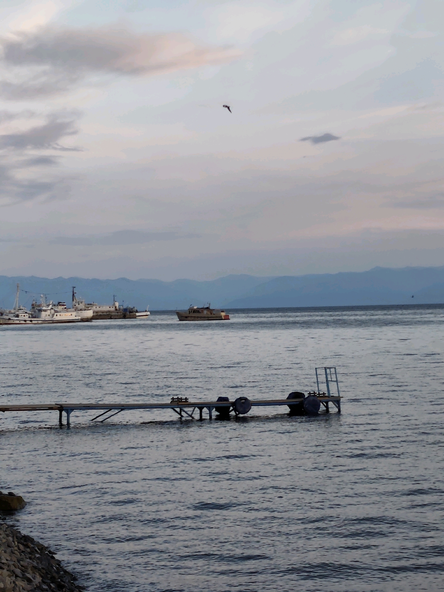 The image depicts a serene view of Lake Baikal near Listvyanka, Russia, at dusk. In the foreground, a simple wooden jetty extends into the calm, rippling water. The jetty is supported by blue pilings and has several dark, circular fenders attached to its sides. A small ladder with a blue frame is affixed to the end of the jetty. The water reflects the muted colors of the sky, which is a blend of pale blue, gray, and hints of pink, with soft, wispy clouds.
In the middle ground, several boats of varying sizes are anchored on the lake. One larger white boat, likely a ferry or a passenger ship, is prominently positioned on the left, with other vessels further out. In the distance, a hazy mountain range forms the horizon, its silhouette softened by the atmospheric conditions. A solitary bird can be seen in flight in the upper portion of the sky. The overall impression is one of tranquility and the quiet beauty of the Siberian landscape at the end of the day.
