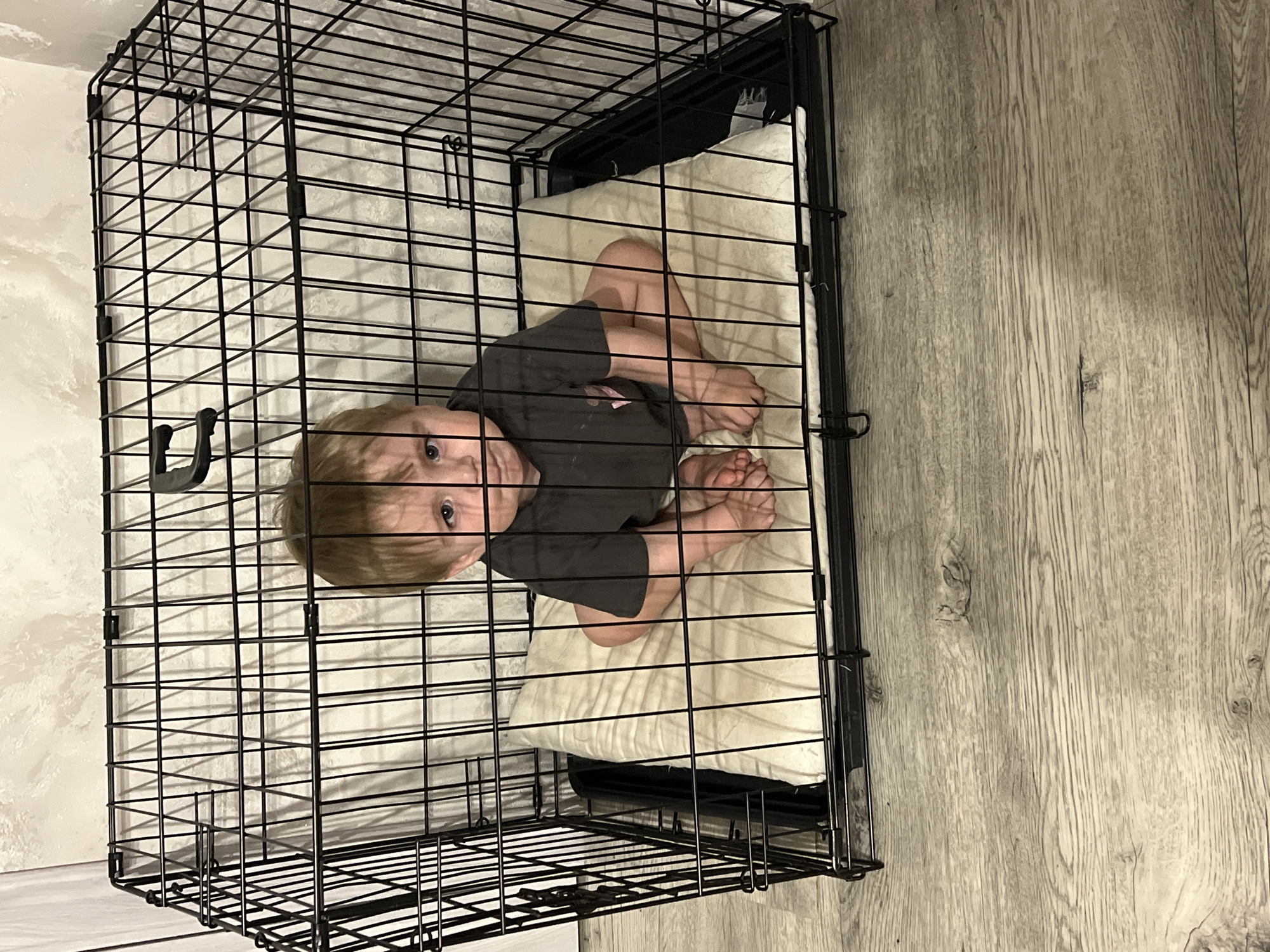 A young child is inside a black wire dog crate. The crate contains a white cushion. The child is lying on the cushion, looking directly at the camera. The crate is positioned on a light grey wood-look floor. The background shows a textured off-white wall. The location is not Veteran-2, Russia; the image appears to be indoors, likely a residence.