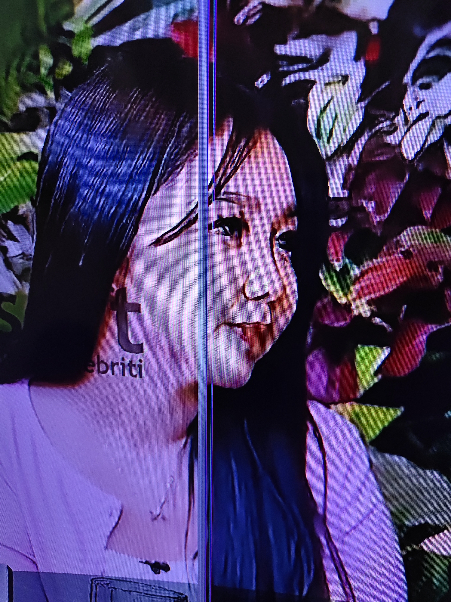 The image displays a close-up of two women's faces, split vertically by a bright blue line, suggesting a screen malfunction or digital editing. The woman on the left has long, dark hair and is wearing a light pink top with the letters "t" and "ebrity" visible on it. She has a subtle smile and dark eyes. The woman on the right also has dark hair and is wearing a dark top. Her face is partially obscured by foliage in the background, which appears to be a mix of green and red leaves. The overall image quality is grainy and pixelated, with a purple tint. There is no discernible indication of the city of South Jakarta, Indonesia, or any specific location within it.