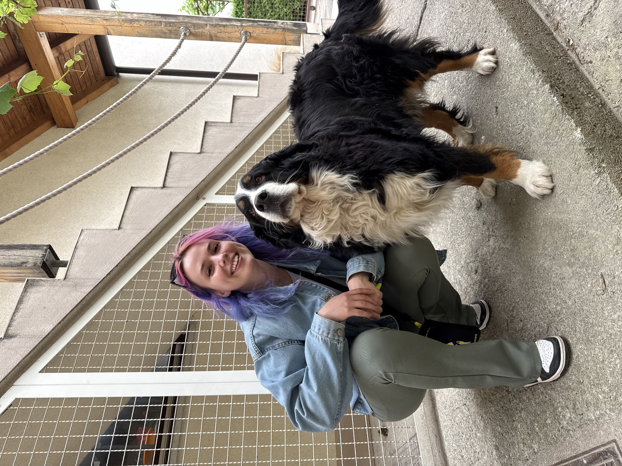 A girl with colorful hair is crouched down, smiling, and a large Bernese Mountain Dog is standing with its front paws near her, looking toward the camera. They are near a set of outdoor stairs with a white metal railing and a wooden beam. The scene is outdoors on a paved area. The location is City of Zagreb, Croatia.
