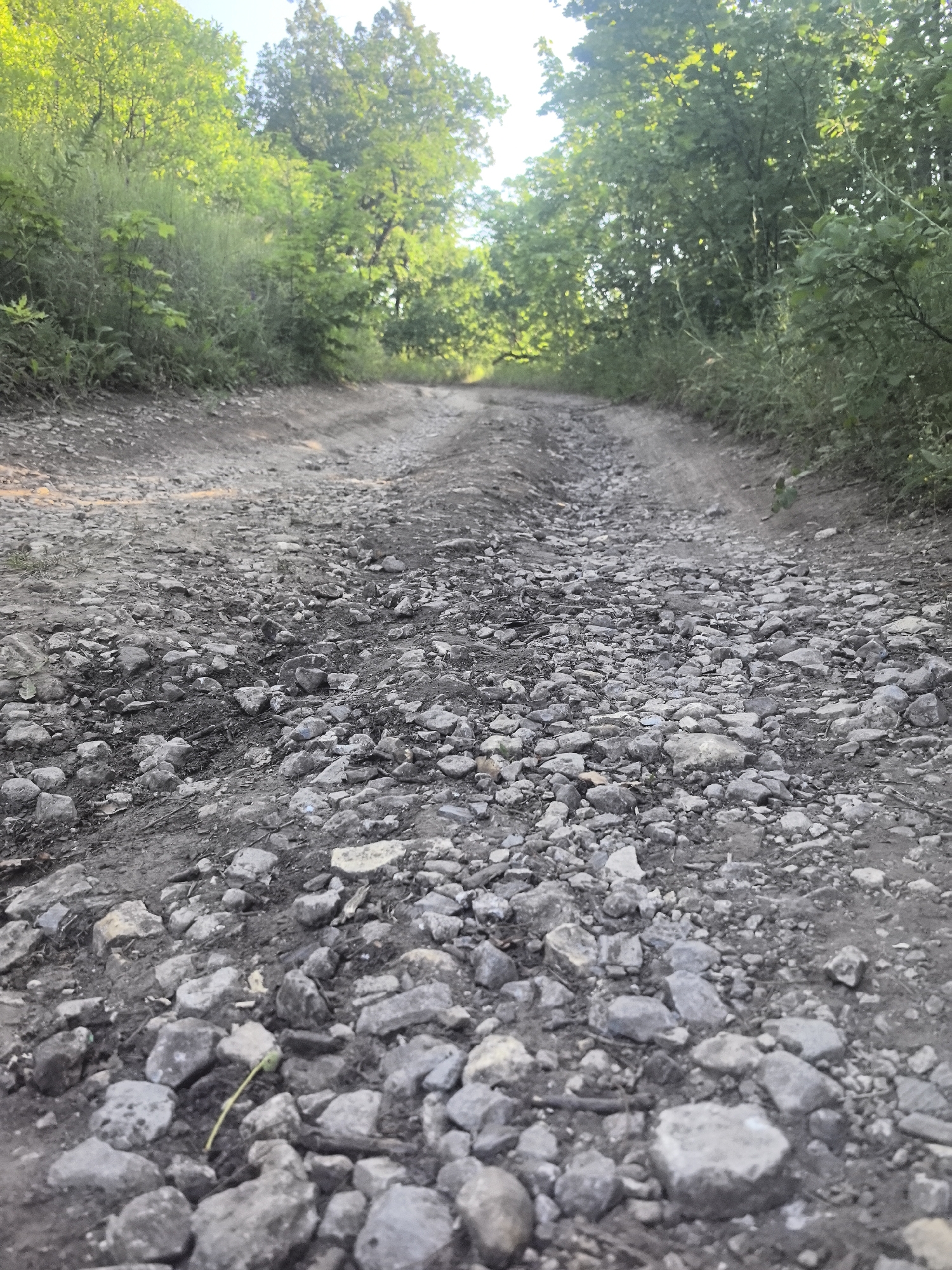 The image shows a rough, rocky, unpaved road leading into a wooded area. The road is composed of dirt and numerous stones of various sizes. Lush green trees and foliage line both sides of the road, with sunlight filtering through the leaves, creating a dappled effect. The perspective is from a low angle, close to the ground, emphasizing the texture of the road's surface. The scene depicts an outdoor, natural environment. This location appears to be in the village of Perevoloki, Russia, based on the provided information.