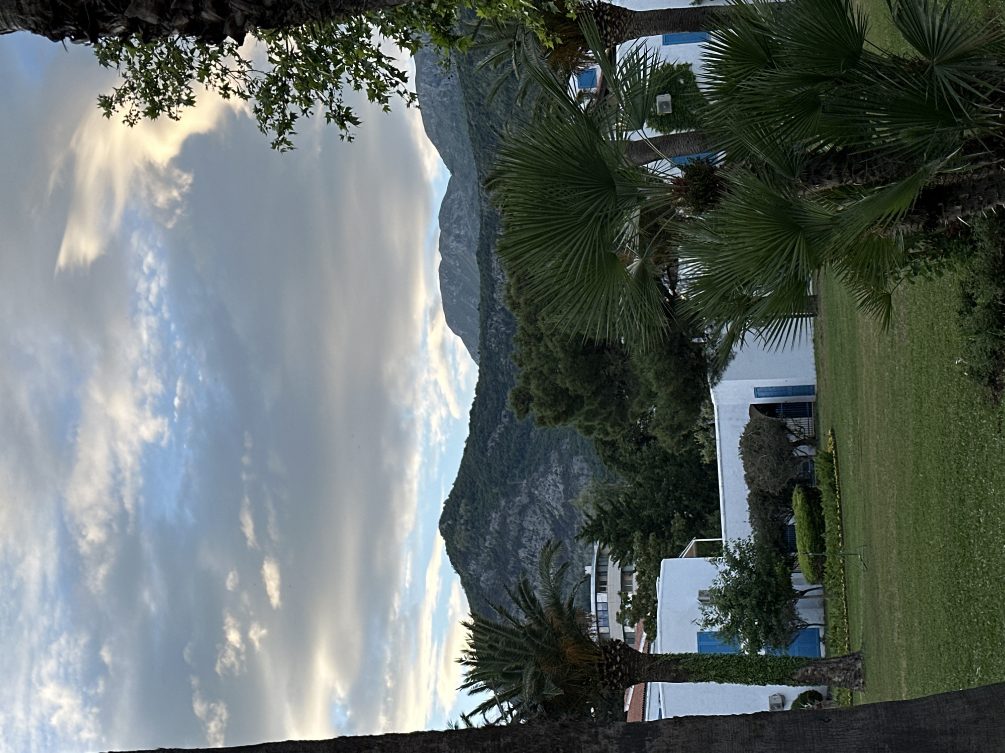 The image is a landscape shot taken in what appears to be a residential area of Budva, Montenegro. In the foreground, there are palm trees and other vegetation, indicating a tropical or subtropical climate. Behind the vegetation, there are white buildings with blue window frames, which are typical of Mediterranean architecture. A large mountain occupies the background, adding a dramatic element to the scene. The sky is filled with cloudy skies. The image appears to be taken from a slightly elevated position, looking out over the landscape towards the mountains. There are no people visible in the image.