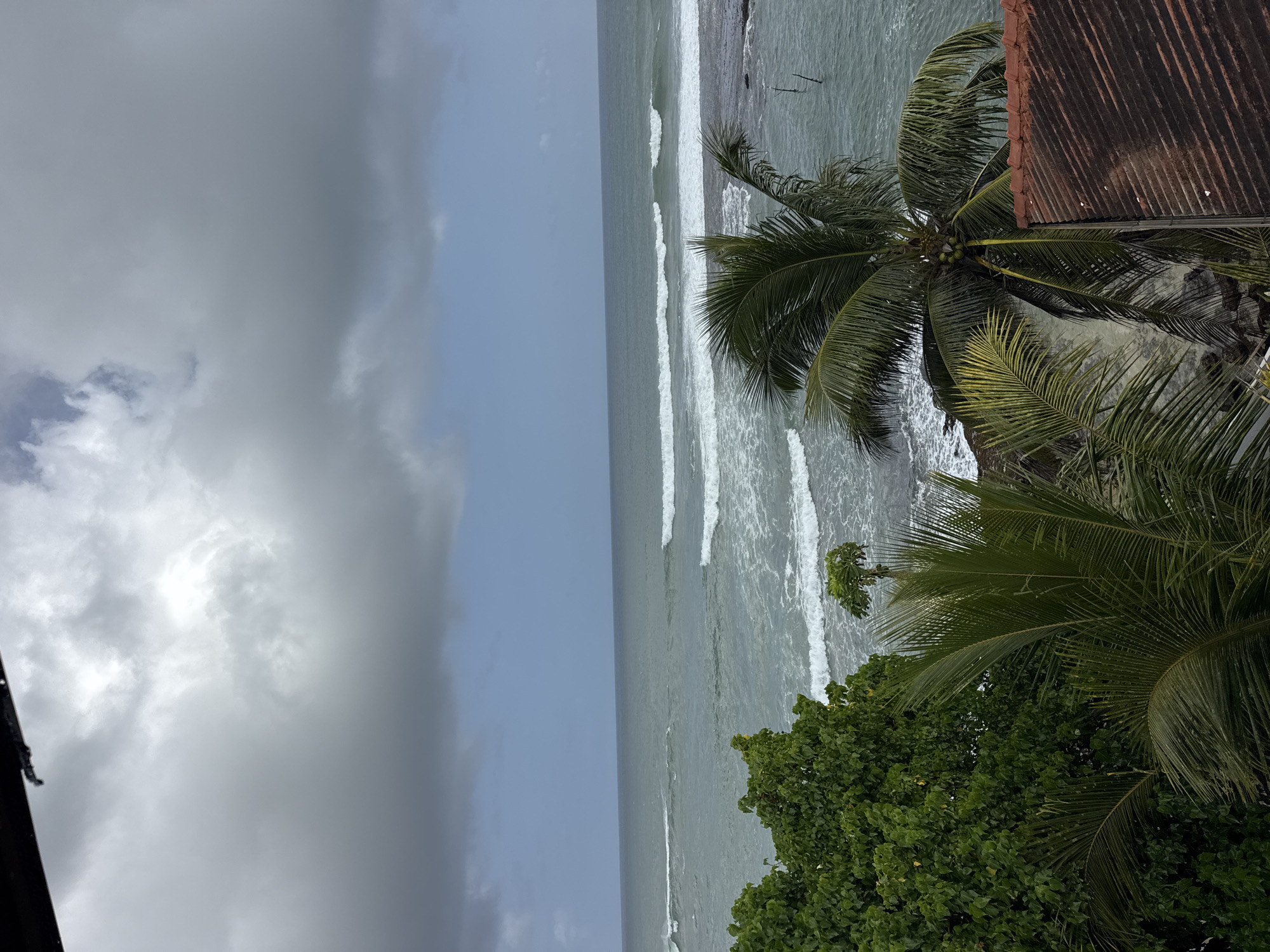 An overhead, slightly angled medium shot captures a cloudy day at the ocean in Goviyapana, Sri Lanka. The sky is filled with a mix of dark, brooding storm clouds and lighter, scattered cumulus clouds, creating a dramatic and moody atmosphere. Below the sky, the vast expanse of the ocean stretches to the horizon, its surface a textured grey-green with numerous white-capped waves rolling in towards the shore.
In the foreground, lush green foliage from trees and palm fronds dominate the lower portion of the frame, partially obscuring the view. To the left, dense, dark green leaves of a large tree create a thick canopy. To the right, the fronds of a coconut palm tree, laden with several green coconuts, extend into the scene, their long, slender leaves catching the diffused light. A portion of a weathered, red-tiled roof is visible in the bottom right corner, hinting at nearby structures.
The ocean's edge is rocky, with some submerged dark rocks visible beneath the churning water where the waves break. Several thin, dark wooden poles protrude from the water near the shore, possibly part of a fishing structure. The overall impression is one of a tropical coastal landscape under an overcast sky, with the raw power of the sea evident in the continuous surf. There are no people visible in the scene.