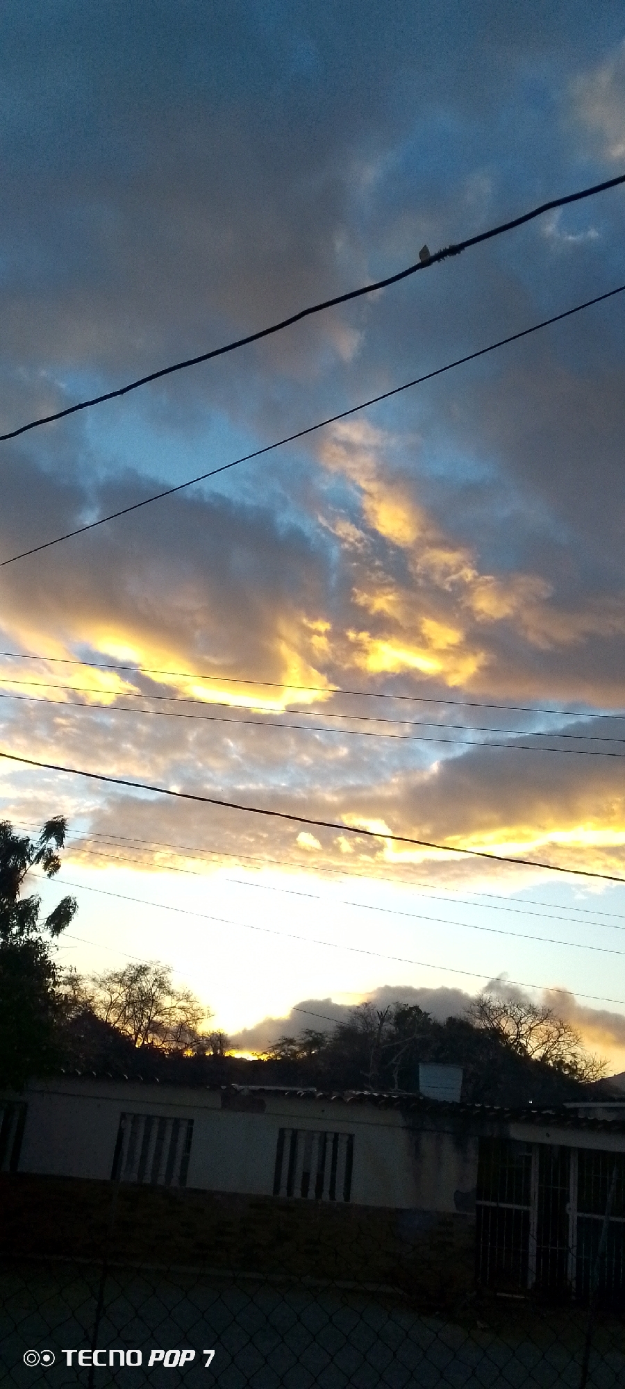 The image, likely taken in Altagracia, Venezuela, presents a sunset sky dominated by clouds, some illuminated with golden hues, contrasted against darker, blue-tinged areas. Several power lines cut across the scene horizontally. Below the sky is a building with dark windows and a visible roofline. Trees are silhouetted against the bright horizon behind the building. A fence is visible in the foreground. The image includes a "Tecno Pop 7" watermark in the lower-left corner. A small bird is perched on one of the power lines.