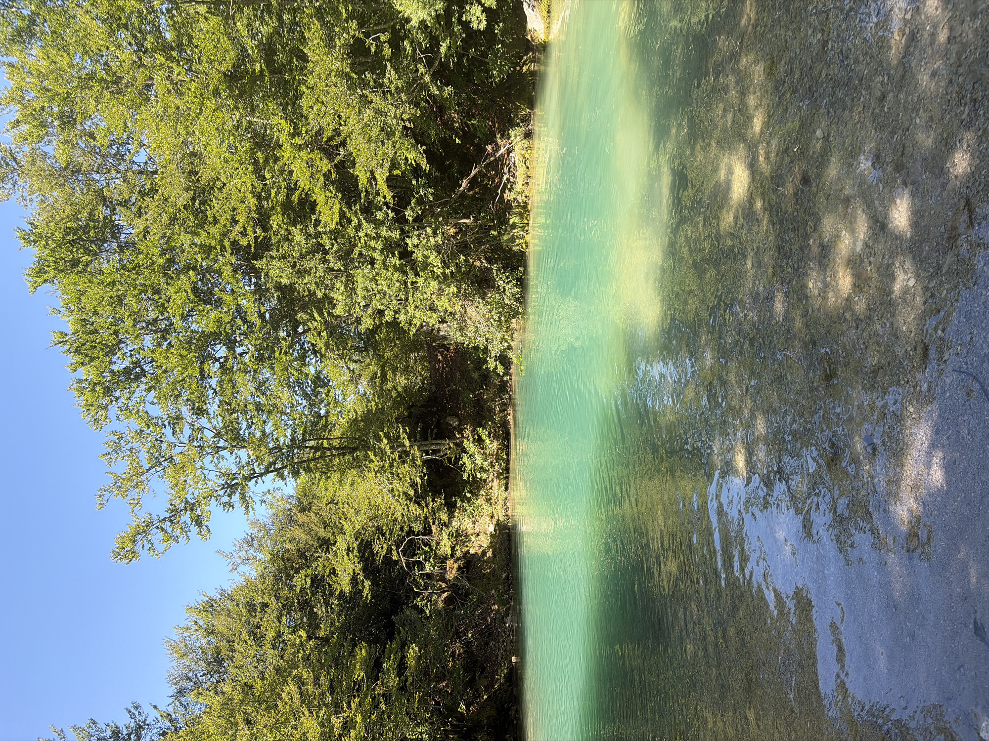 The image depicts a crystal-clear, turquoise river flowing through a lush, forested area. The riverbed is visible through the transparent water, revealing smooth pebbles and stones. Sunlight filters through the dense green canopy of trees, casting dappled shadows on the water's surface and the surrounding banks. The water appears calm and inviting, with gentle ripples disturbing its serene surface. The scene evokes a sense of natural beauty and tranquility, characteristic of untouched wilderness. The location is identified as the city of Vusanje, Montenegro, suggesting a natural landscape within this region. There are no people or animals visible in the image, the focus being solely on the natural environment.