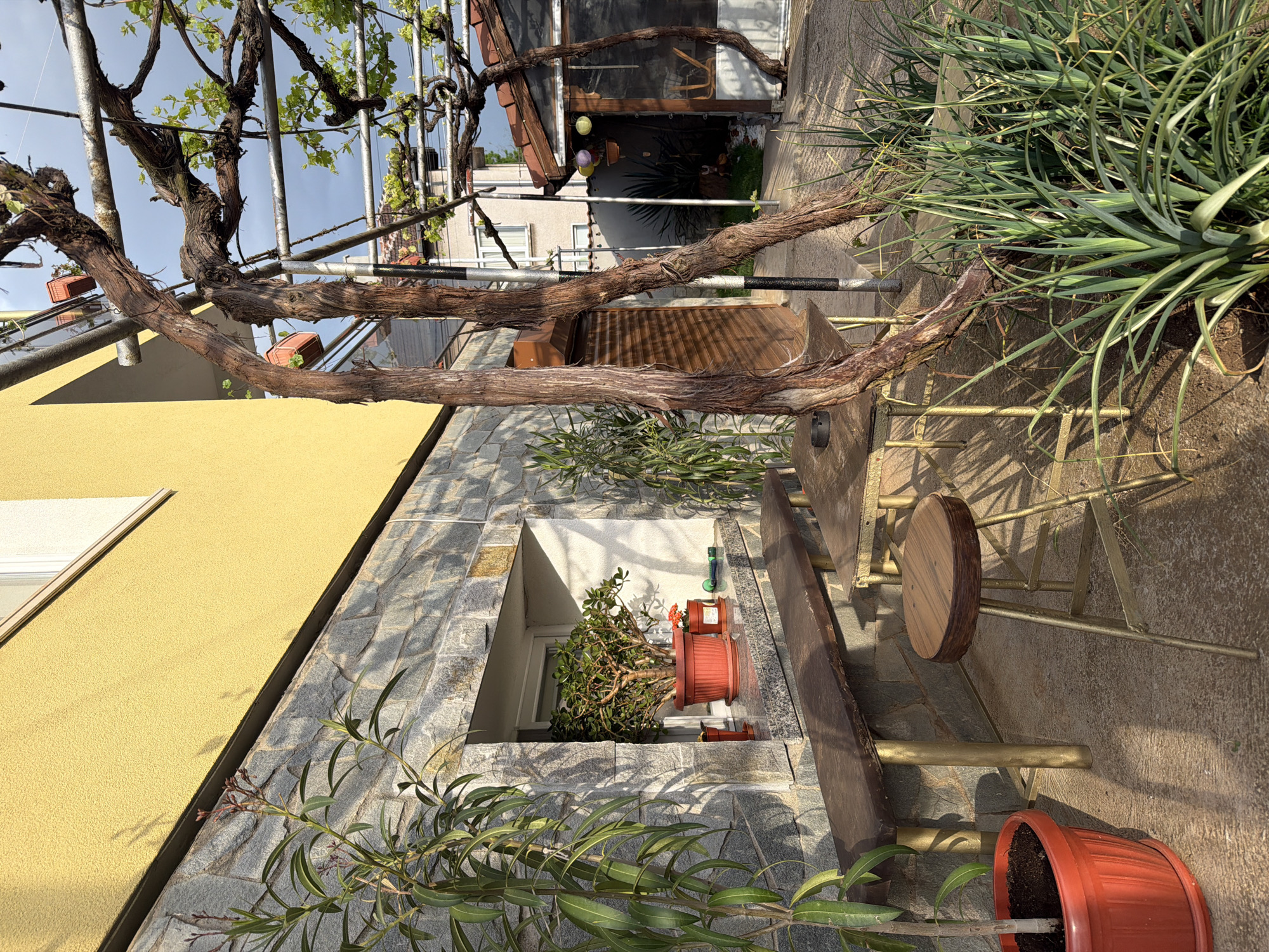 The image shows a residential area in Buhovo, Bulgaria. The foreground features several potted plants. A wooden bench and a small, round wooden table with a golden metal frame are also present. The background reveals a two-story house with a yellow wall and stone detailing. A window is visible, containing more potted plants. Overhead, a complex structure of vines and metal supports creates a shaded canopy. Beyond the immediate structures, another building is visible with a light-colored facade. Various plants grow near the building's edge.