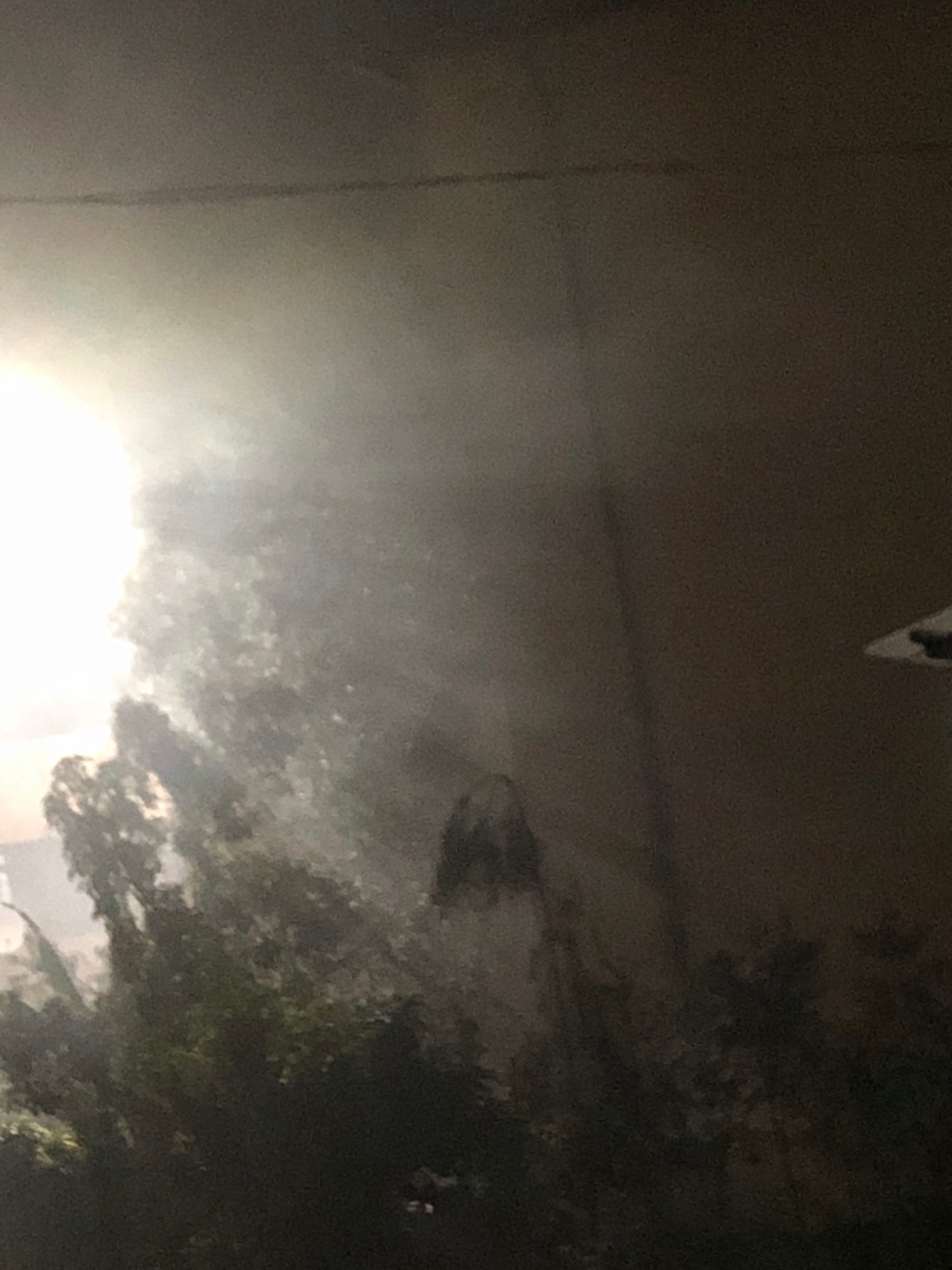 The image appears to be an outdoor scene with significant atmospheric haze or smoke. In the foreground, there is dense foliage, likely trees or bushes. A bright light source, possibly the sun or artificial lighting, is positioned in the upper left quadrant, casting a strong glow and contributing to the hazy effect. In the middle ground, a dimly visible human figure is present, partially obscured by the haze and foliage. The figure appears to be wearing light-colored clothing. The background consists of a dark, indistinct wall or structure, with a hint of a triangular object visible in the far upper right corner. The overall impression is one of low visibility, possibly due to fog, smoke, or a dust storm, occurring in a semi-natural environment within a city. Without additional information or context, pinpointing the exact location within Addis Ababa is not possible.