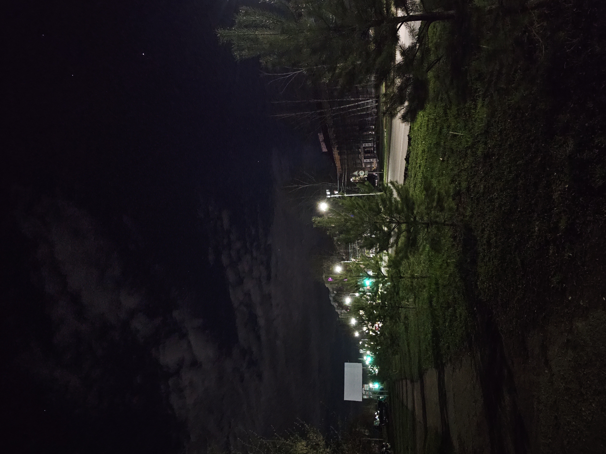 The image displays a nighttime outdoor scene, oriented horizontally, featuring a dark sky with clouds on the left and an illuminated pathway or road on the right. Tall coniferous trees with dense foliage line the right side of the frame, bordering a stretch of grass and what appears to be a paved surface. In the background, beyond the immediate trees, more slender trees, some appearing bare-branched, and indistinct structures are faintly visible against the dark horizon.
The scene is lit by a series of streetlights. Some emit a conventional white or yellowish glow, while others, especially in the mid-ground, shine with a distinct green light, possibly decorative. A prominent, blank, rectangular white sign or billboard is situated in the mid-ground on the right side. Below this, a circular white sign with the number "50" is partially visible, suggesting a speed limit. The night sky above shows subtle cloud formations and a few very dim points of light, potentially stars. No people or specific activities are visible, contributing to a quiet and tranquil nocturnal atmosphere.