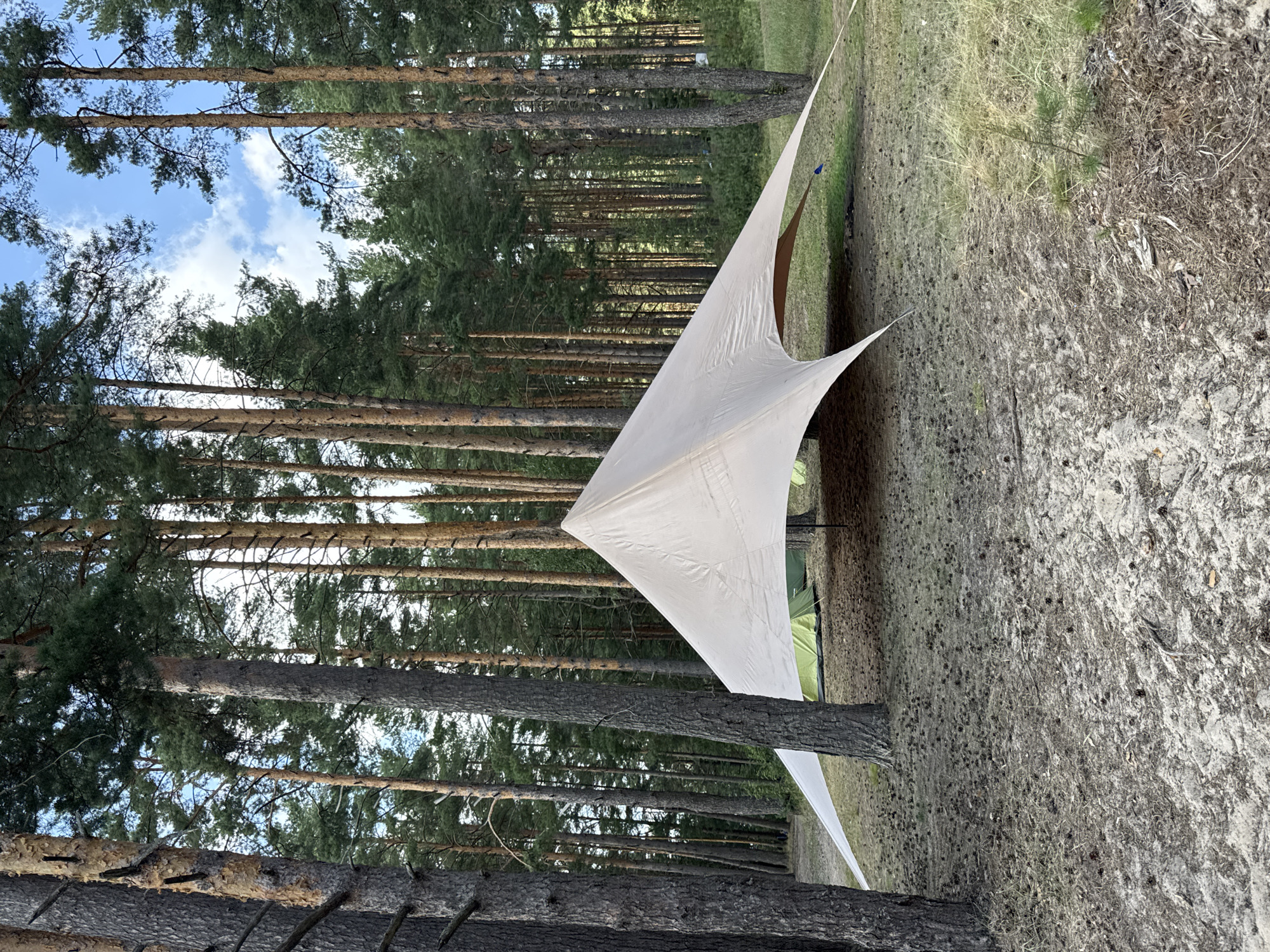 A campsite is set up in a pine forest. A large, light-colored tarp is spread over a campsite, supported by poles and trees, creating a sheltered area. Beneath the tarp, two green tents are visible, suggesting occupancy. The ground is covered in sand, pine needles, and scattered pine cones. The surrounding environment is dominated by tall, mature pine trees with a dense canopy overhead. The sky above is partly cloudy, with patches of blue visible through the trees. The scene appears to be in a natural setting, possibly a campground or a designated camping area. The location of Portovoe, Russia is not explicitly depicted in the image but may be the broader geographical context.