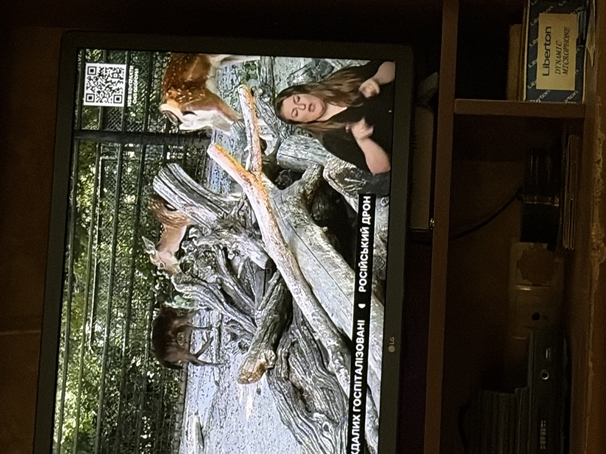 This is a medium shot of a television screen displaying a news broadcast. On the left side of the screen, there is an image of a nature scene with two deer in an enclosure, and several large pieces of driftwood. On the right side of the screen, there is a woman with brown hair wearing a black shirt, who appears to be a sign language interpreter. The woman is in the foreground, positioned in front of the nature scene, and is making hand gestures. A news ticker runs along the bottom of the screen, with text in Cyrillic script. The television screen is positioned on a wooden shelf. To the right of the television, on the shelf below, is a box labeled "Liberton DYNAMIC MICROPHONE".