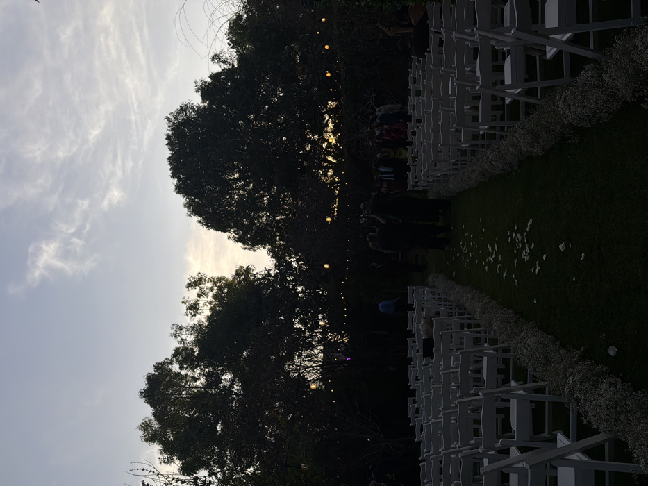A wedding aisle stretches into the distance, lined with white chairs and delicate white flowers. People gather, their silhouettes dark against the setting sun filtering through trees strung with lights. Petals are scattered along the grassy aisle, suggesting a recent procession. The sky is pale with scattered clouds.