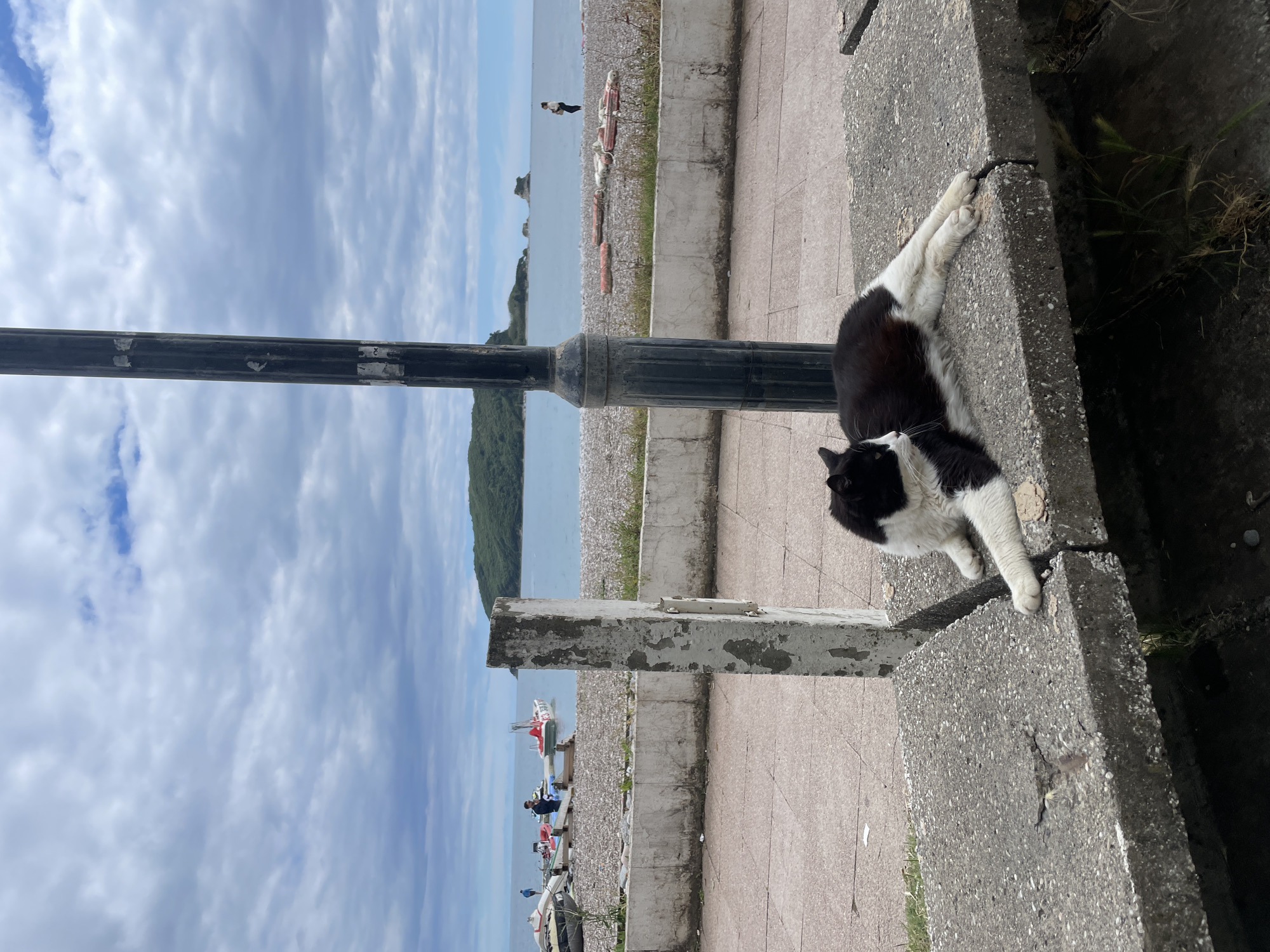 A medium shot captures a black and white cat sprawled on a concrete ledge beside a black lamp post in Budva, Montenegro. The cat rests its paws on the edge of the ledge, with the sea and sky visible in the background. In the distance, there are boats and figures on the beach. The weather appears cloudy. The image is taken at ground level, looking out towards the bay, framing the cat as the primary subject with the landscape as a backdrop.