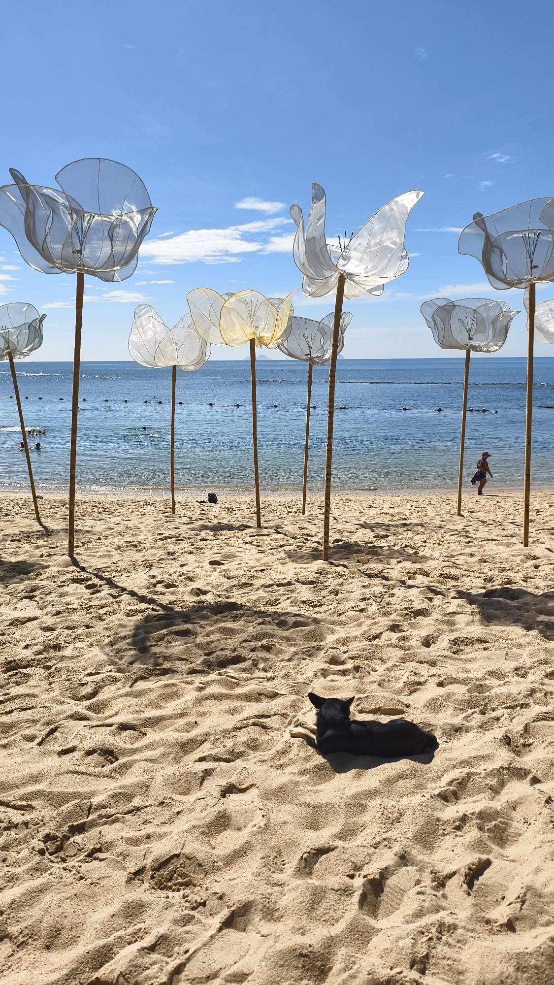 A black dog is lying down on a sandy beach in Nha Trang, Vietnam, facing left. Behind the dog, several large, translucent, flower-shaped sculptures on wooden poles are arranged in a line. The ocean is visible behind the sculptures, with gentle waves and a few buoys in the water. A person in a red shirt and dark shorts is walking along the shoreline in the distance, to the right of the sculptures. The sky is blue with scattered white clouds.