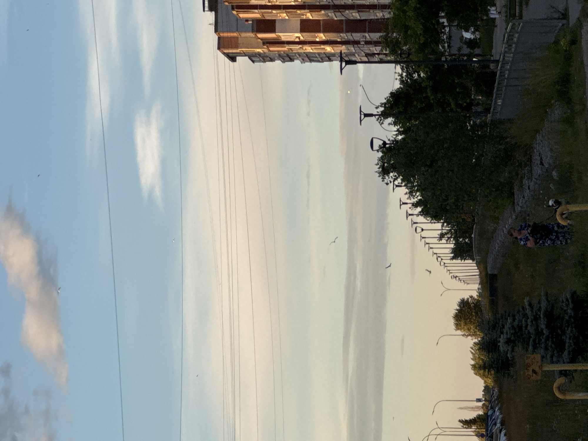 The image depicts an outdoor scene with a residential building and a row of streetlights. A woman with dark hair, wearing a patterned dress, is visible in the lower right quadrant of the image, holding a phone. She appears to be walking a dog, though the dog is not clearly discernible. The building on the right is tall and appears to be made of brick. Multiple power lines are strung across the sky, which is a pale blue with some wispy clouds. A few birds are in flight against the sky. The foreground consists of a grassy slope with some small evergreen trees and a yellow pipe structure. The scene appears to be in an urban or suburban area, possibly in Nizhny Novgorod, Russia, given the architectural style of the building and the presence of streetlights.