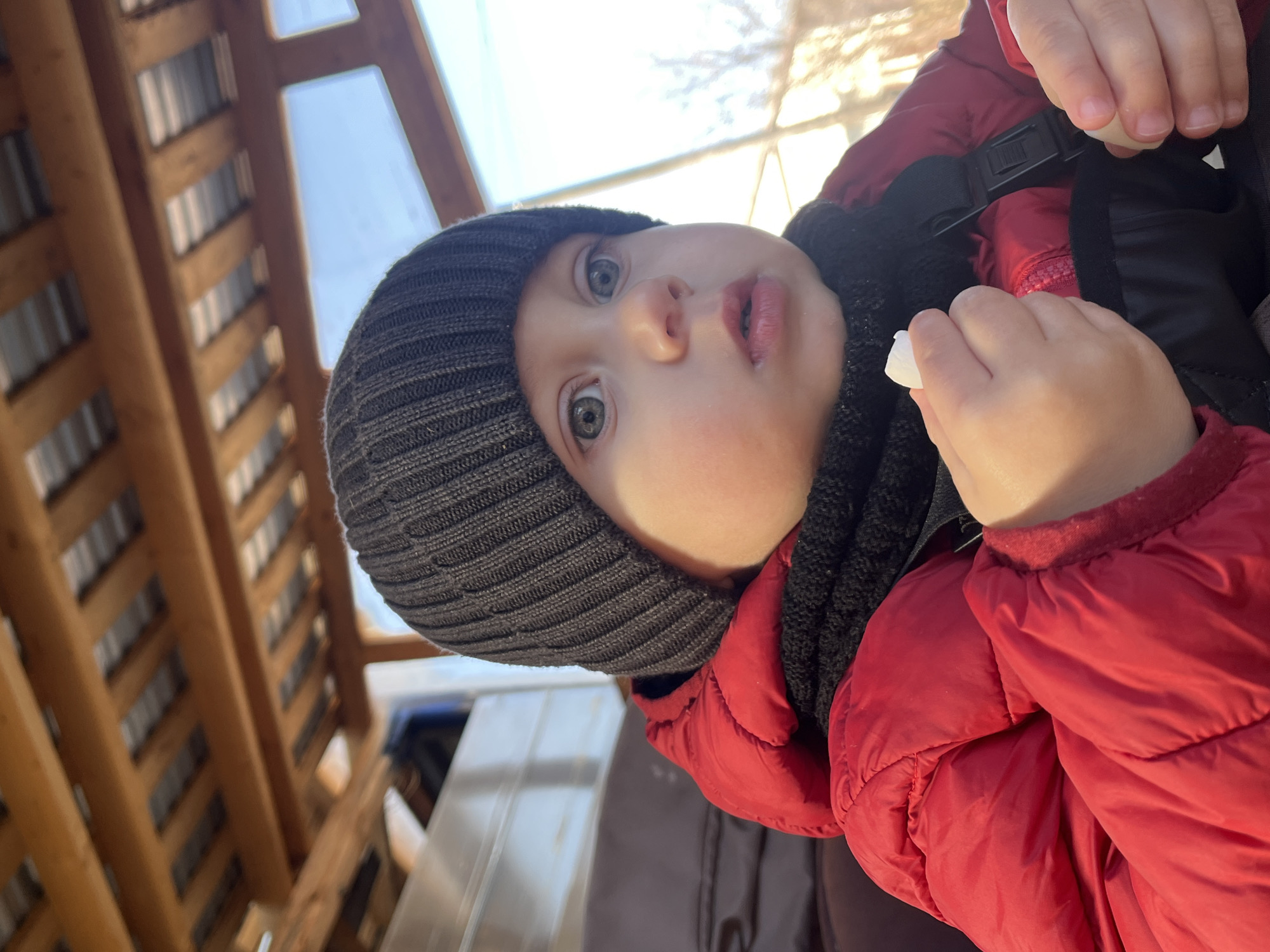 A young child with fair skin, wearing a gray knit hat, a black scarf, and a red puffer jacket, is the primary subject. The child is positioned at an oblique angle, facing the viewer with a slightly questioning expression. The child's hands are visible, holding a small, white object.
The background includes a wooden structure with a slatted roof, and a partially visible reflective surface, possibly glass or metal. This location is identified as Фоки, Russia.