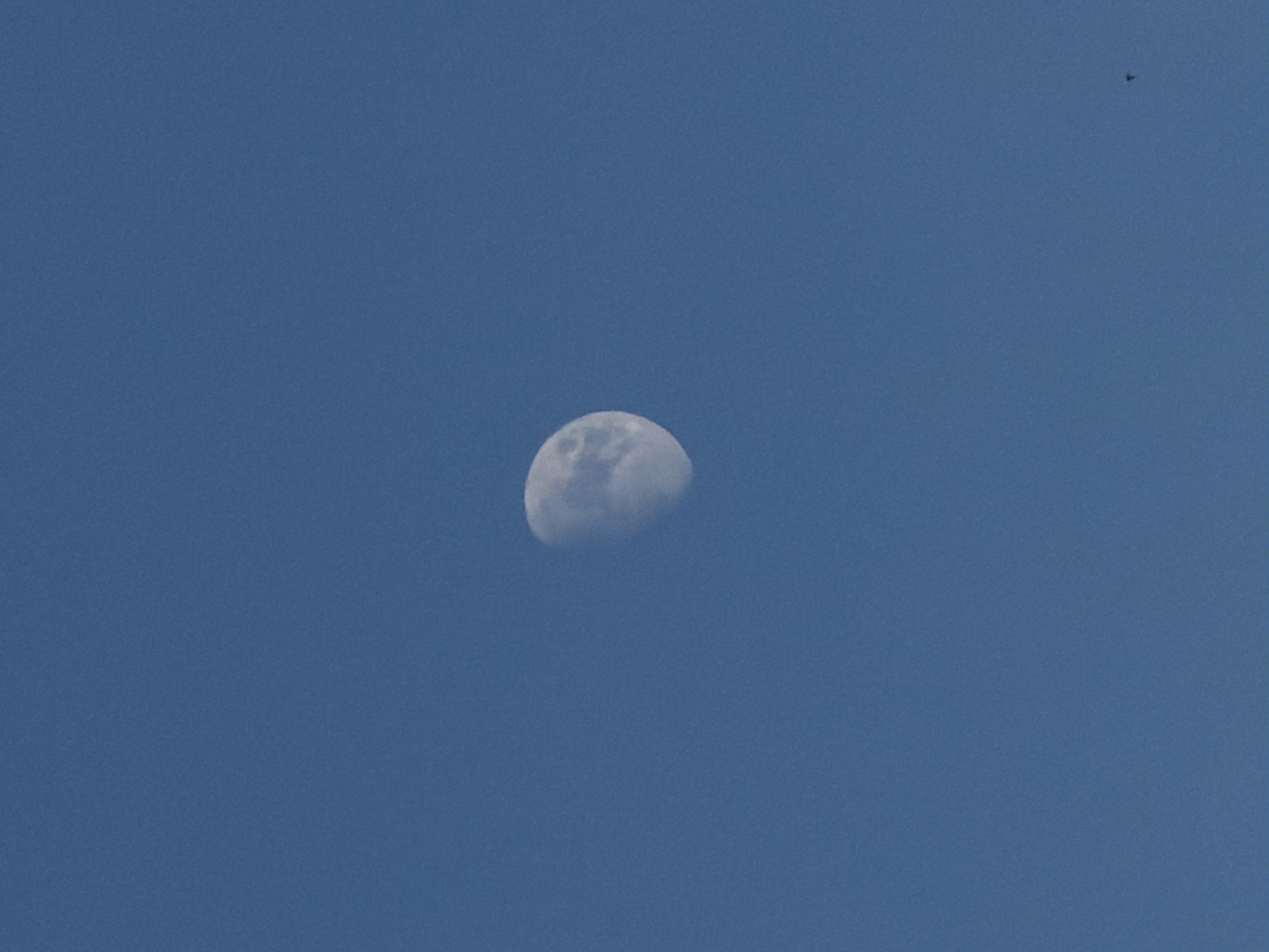 This is a photograph of the daytime sky, which is a uniform, clear blue. A portion of the moon is visible, appearing as a crescent shape with visible surface details. The moon is illuminated, suggesting it is daytime or dusk. In the upper right corner of the image, a small, dark object is present, which appears to be a bird in flight. The scene is set against an expansive sky, with no ground features or man-made structures visible. The overall impression is one of a clear, serene sky with celestial bodies and a distant bird. The time of day is not precisely determinable, but the presence of the illuminated moon in a blue sky suggests either daylight or twilight.