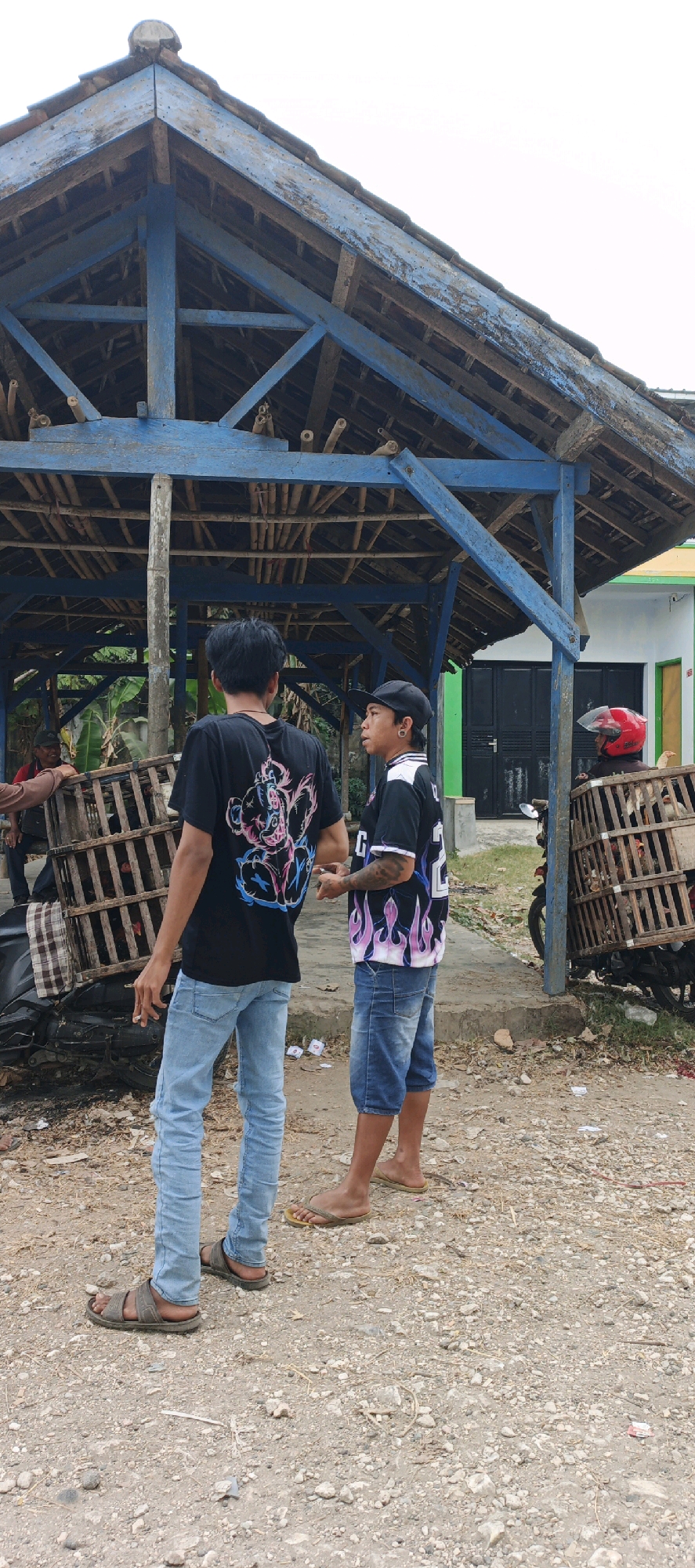 In Kasiyan, Indonesia, two young men stand near a rustic, blue-painted wooden structure with a thatched roof. The man on the left, facing away from the camera, wears a black t-shirt with a graphic design and light blue jeans. He is wearing brown sandals. The man on the right, facing left, is wearing a black and white t-shirt with flame graphics, denim shorts, a black baseball cap, and yellow flip-flops. To the left of the men, a wooden crate filled with chickens is placed on top of a dark-colored motorcycle. Further left, another individual is partially visible, appearing to handle the crate. To the right, a red helmeted person on a motorcycle is visible, with another chicken crate attached to the back. The ground is covered with dirt and small stones. In the background, a building with a green wall and dark doors is visible.