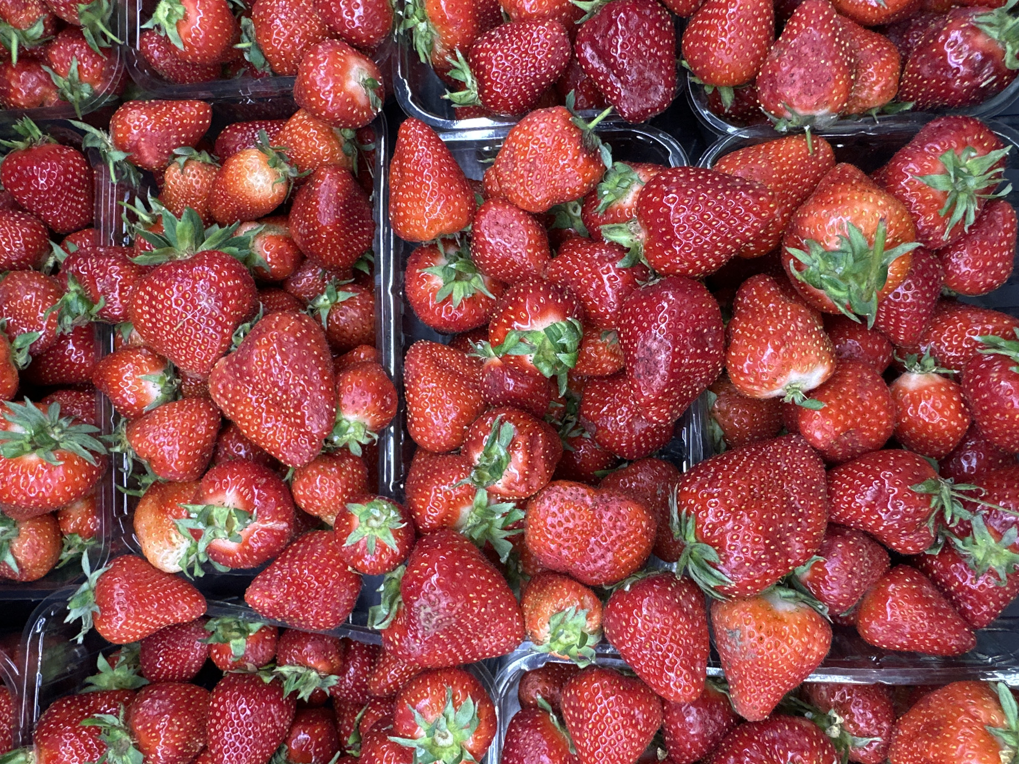 The image shows a close-up, overhead view of several clear plastic containers filled with fresh strawberries. The strawberries are predominantly red, with some variations in shade, and have green stems. They are packed tightly within the containers, obscuring the bottom. The image does not depict any location, city or other details. It shows only the strawberries and their packaging.