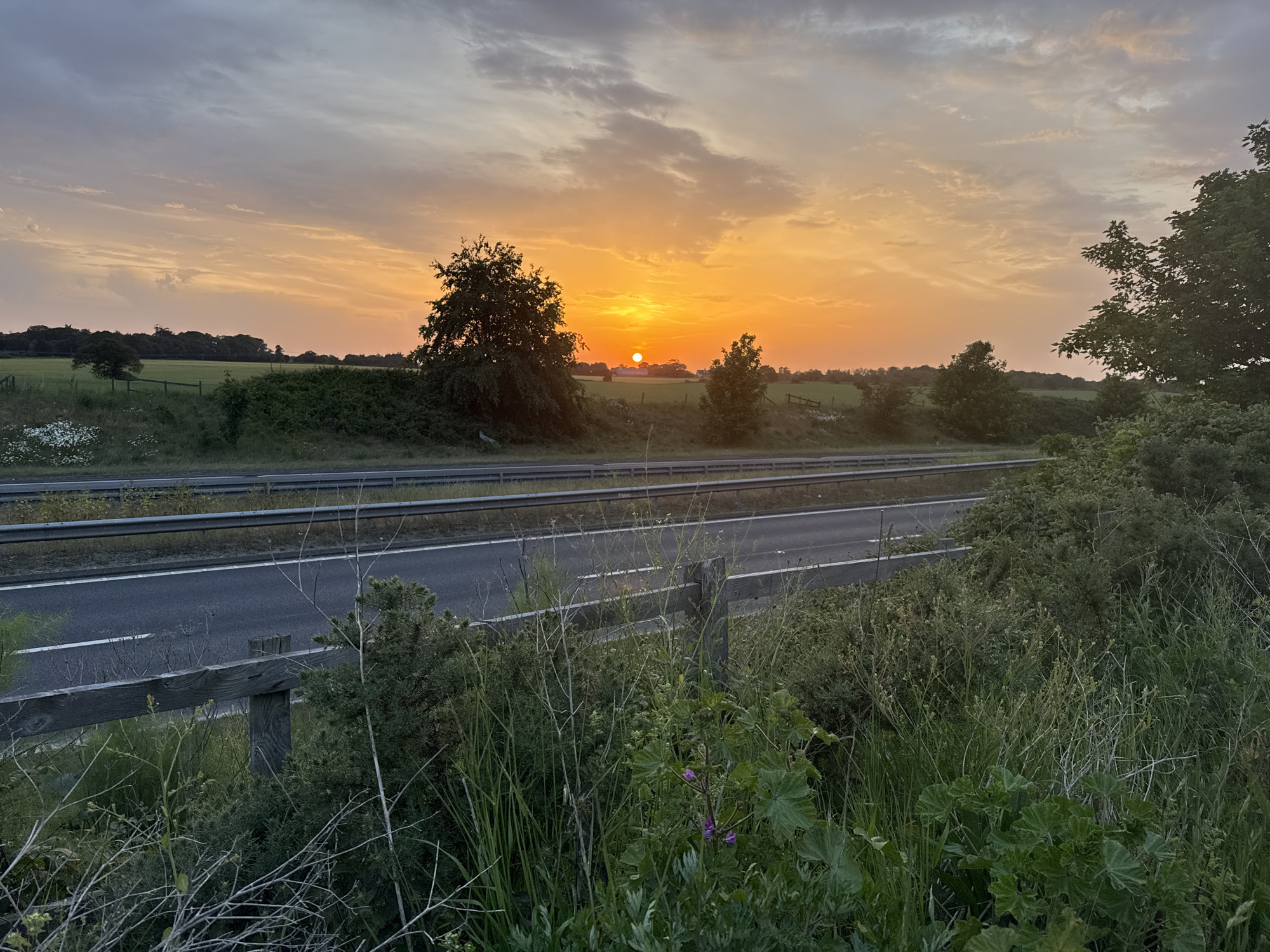 The image depicts a sunset over a highway. The sun is partially obscured by trees on the horizon, casting an orange glow across the sky. A green field stretches beyond the highway, bordered by a line of trees. The highway itself is grey asphalt with white lines. In the foreground, vegetation, including grass and shrubs, grows near a wooden fence. The location is possibly near the city of Great Yarmouth, United Kingdom.