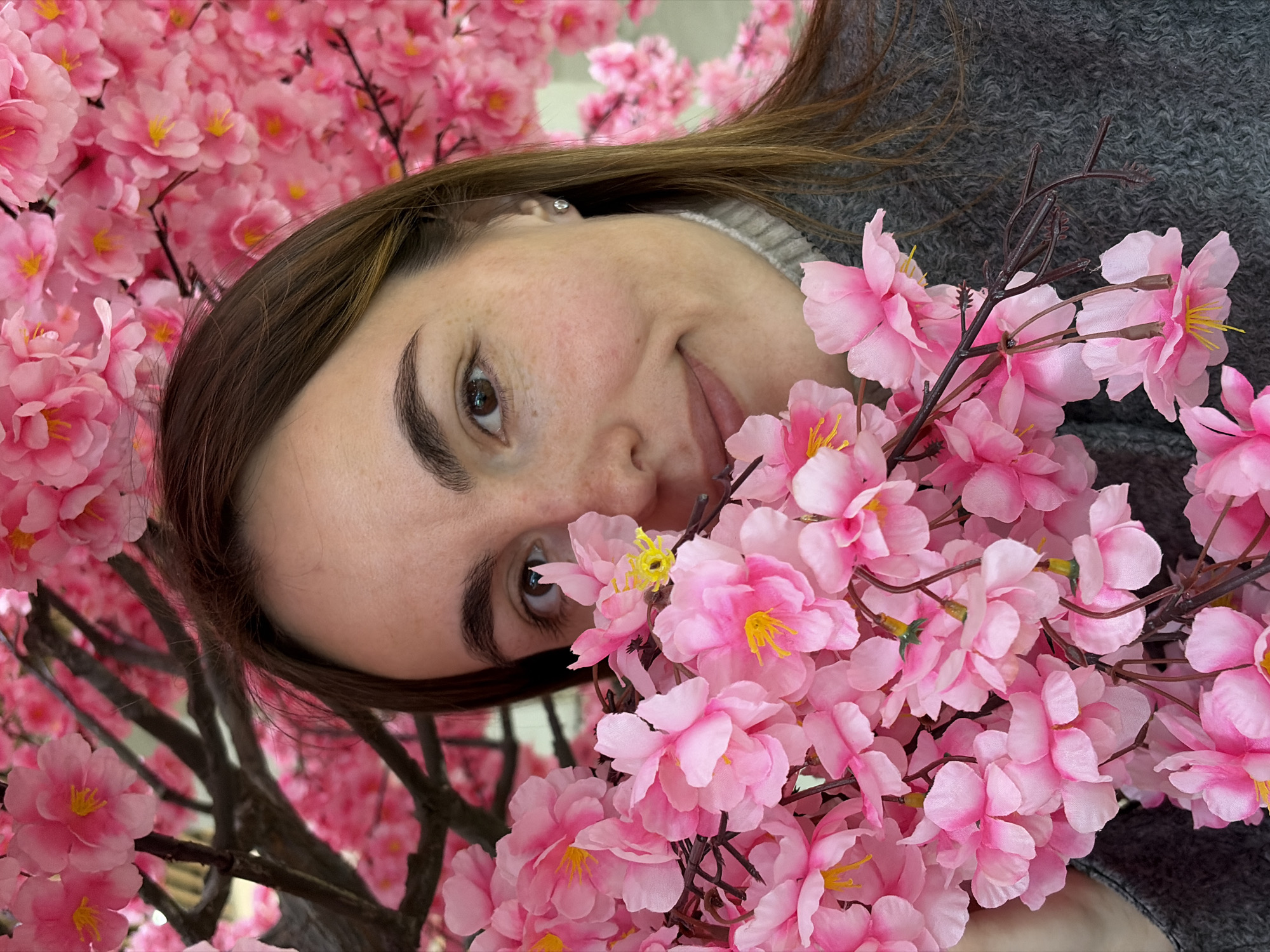 The image captures a close-up portrait of a young woman smiling and posing amidst a vibrant display of artificial pink cherry blossoms. The woman is positioned on her side, with her head slightly tilted, looking directly towards the viewer. She has brown hair, dark eyebrows, and brown eyes, with visible freckles on her nose and cheeks. Her lips are slightly parted in a gentle smile, and a small, shiny stud earring is visible in her right ear. She is wearing a grey, textured sweater, part of which is visible around her neck and shoulder.
The background and foreground are dominated by numerous artificial pink flowers, resembling sakura or cherry blossoms, with small yellow centers. These delicate flowers are attached to dark, thin, artificial branches, creating a lush and immersive floral environment around the woman. The overall scene suggests an indoor setting, likely a decorative display in a commercial space, event, or home in Izhevsk, Russia. The lighting is soft and even, highlighting the woman's features and the vivid pink of the flowers. No text is visible in the image.