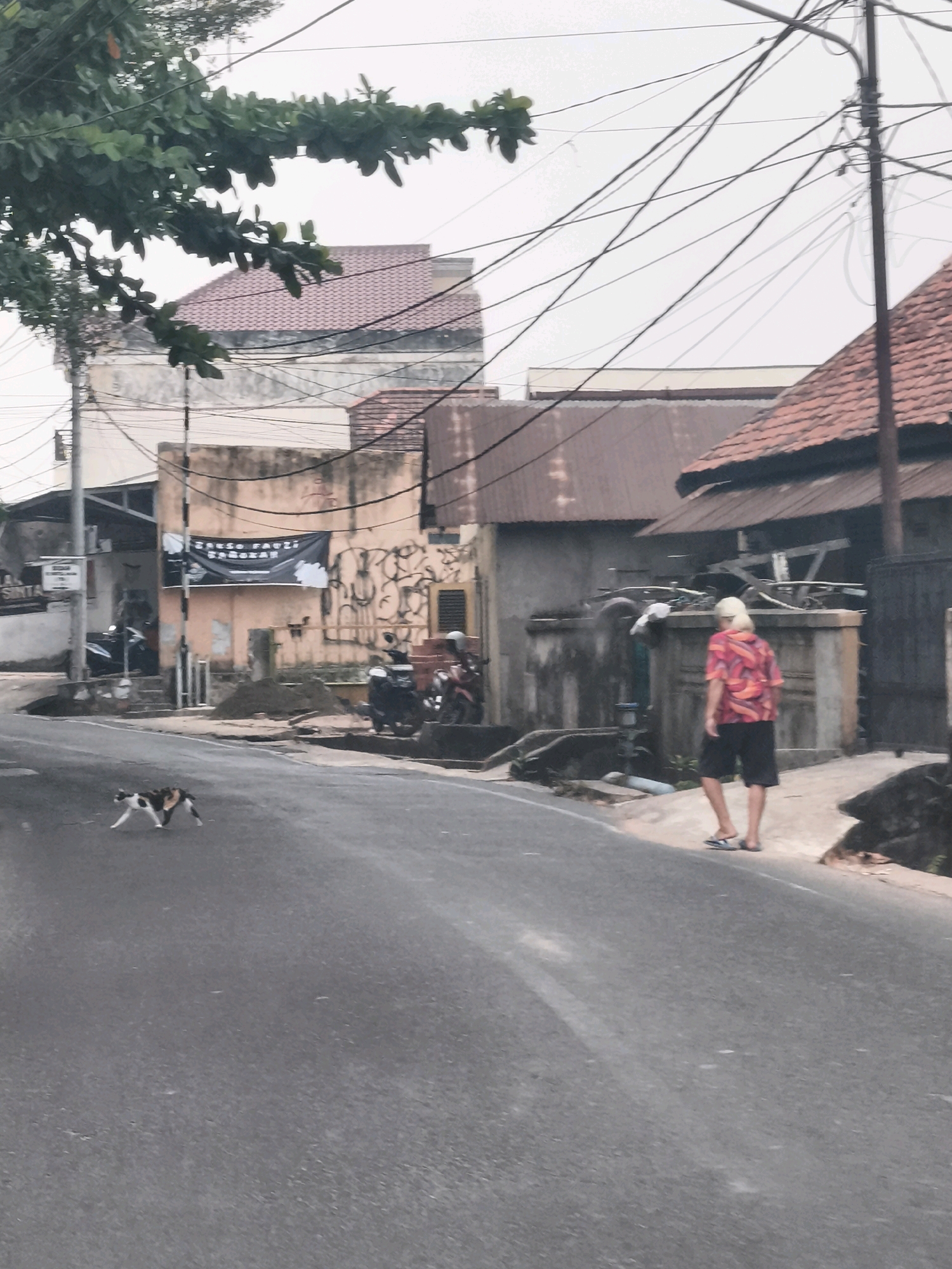 In Palembang, Indonesia, a calico cat is captured mid-stride on a paved road. To the right of the road, a person with blond hair, wearing a brightly colored pink and orange patterned shirt and black shorts, walks away from the camera, their feet clad in flip-flops. Behind the person, a building with a red tile roof and a gray concrete wall stands. Further back, more buildings with red tile roofs are visible, interspersed with a dense network of overhead electrical wires. The scene is overcast, suggesting diffused lighting conditions.