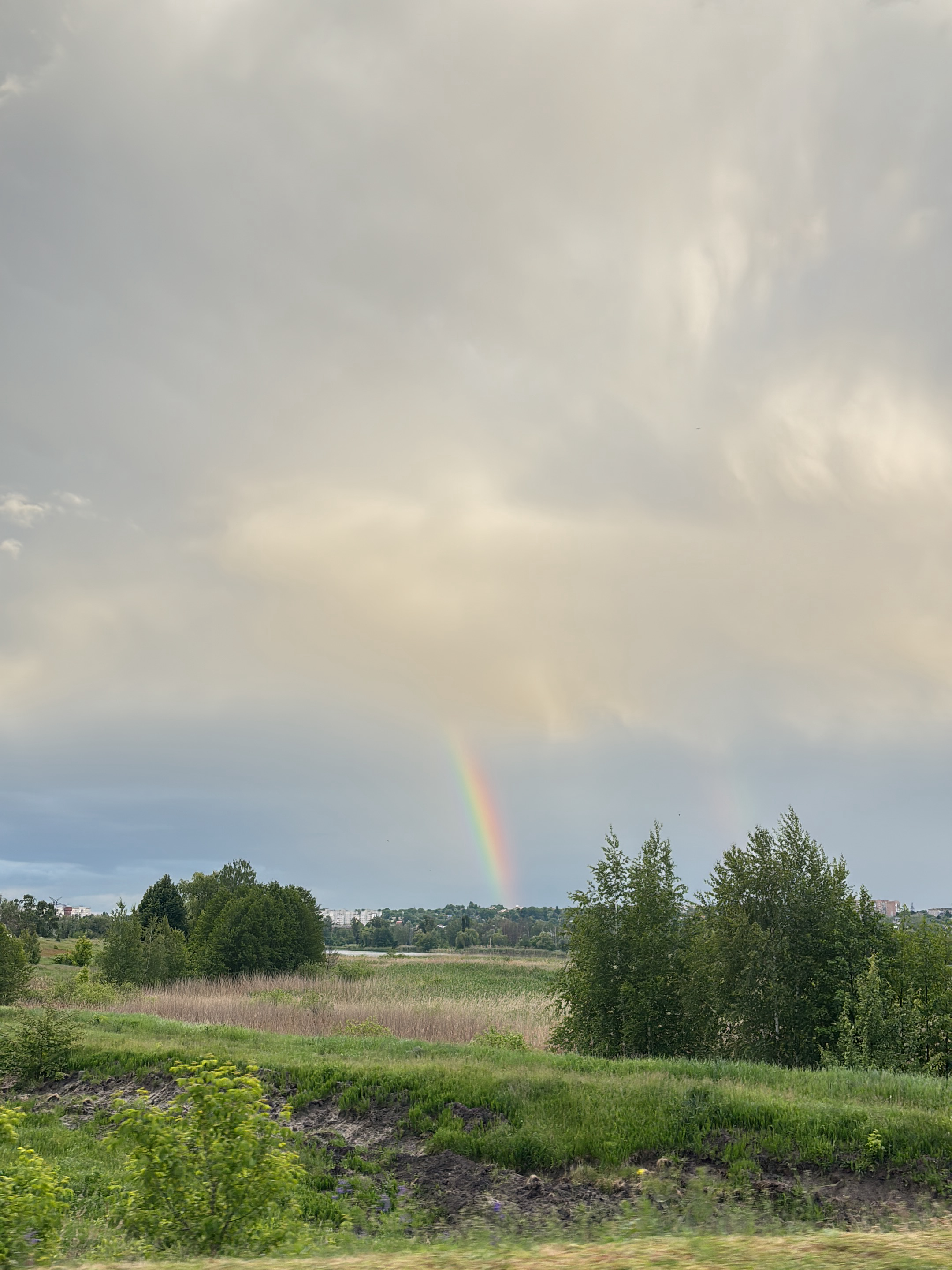 The image depicts a rural landscape with a vibrant rainbow arcing across the sky. In the foreground is a grassy field with patches of low vegetation and small trees. Beyond the field is a body of water, possibly a lake or pond, bordered by reeds or tall grasses. In the distance, a faint cityscape is visible, suggesting a settlement or town. The sky is overcast with grey clouds, creating a diffused light. The location is Pisochyn, Ukraine, as per the user's instruction.