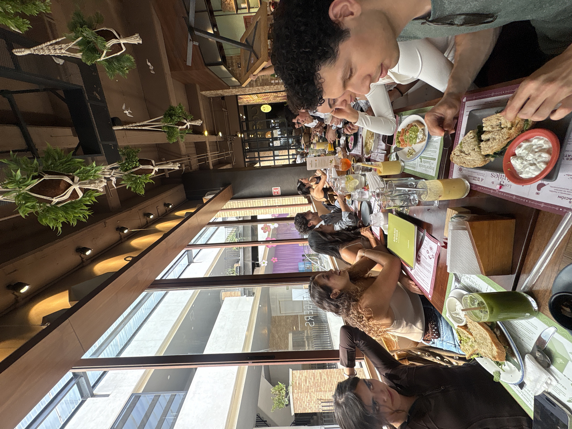The scene is an interior view of a restaurant, likely in Puebla, Mexico, given the Spanish-language menus on the tables. A group of people are seated at a long wooden table. There are hanging plants above, supported by dark metal frames, interspersed with decorative bird figures. Along the left, there is a large window with views of the exterior, including buildings with a multi-story structure. The table is set with food and drinks, including juice, sandwiches, and small plates. Some of the people are eating, while others are talking or looking at menus.