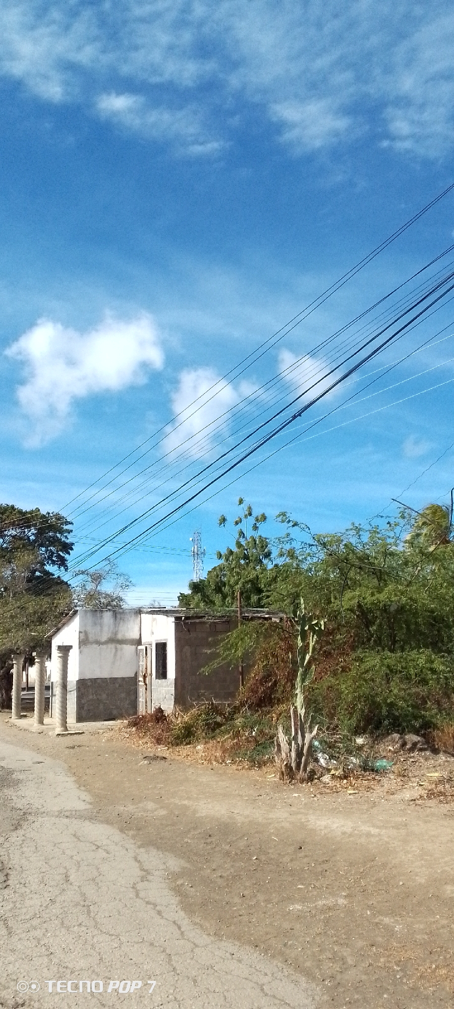 The scene depicts a weathered roadside in Altagracia, Venezuela, under a bright blue sky scattered with fluffy white clouds. Overhead, a web of power lines stretches across the frame.
On the left, a partially constructed building with a crumbling facade stands near the road. It features decorative columns near its entrance and contrasting wall sections of light and dark shades.
To the right of the structure, overgrown vegetation, including a decaying cactus, obscures the immediate foreground. The ground is arid and scattered with debris.
There are no visible people, actions, or interactions in the frame. The focus is on the static scene of neglect and decay in an outdoor environment. A communication tower is visible in the background.
