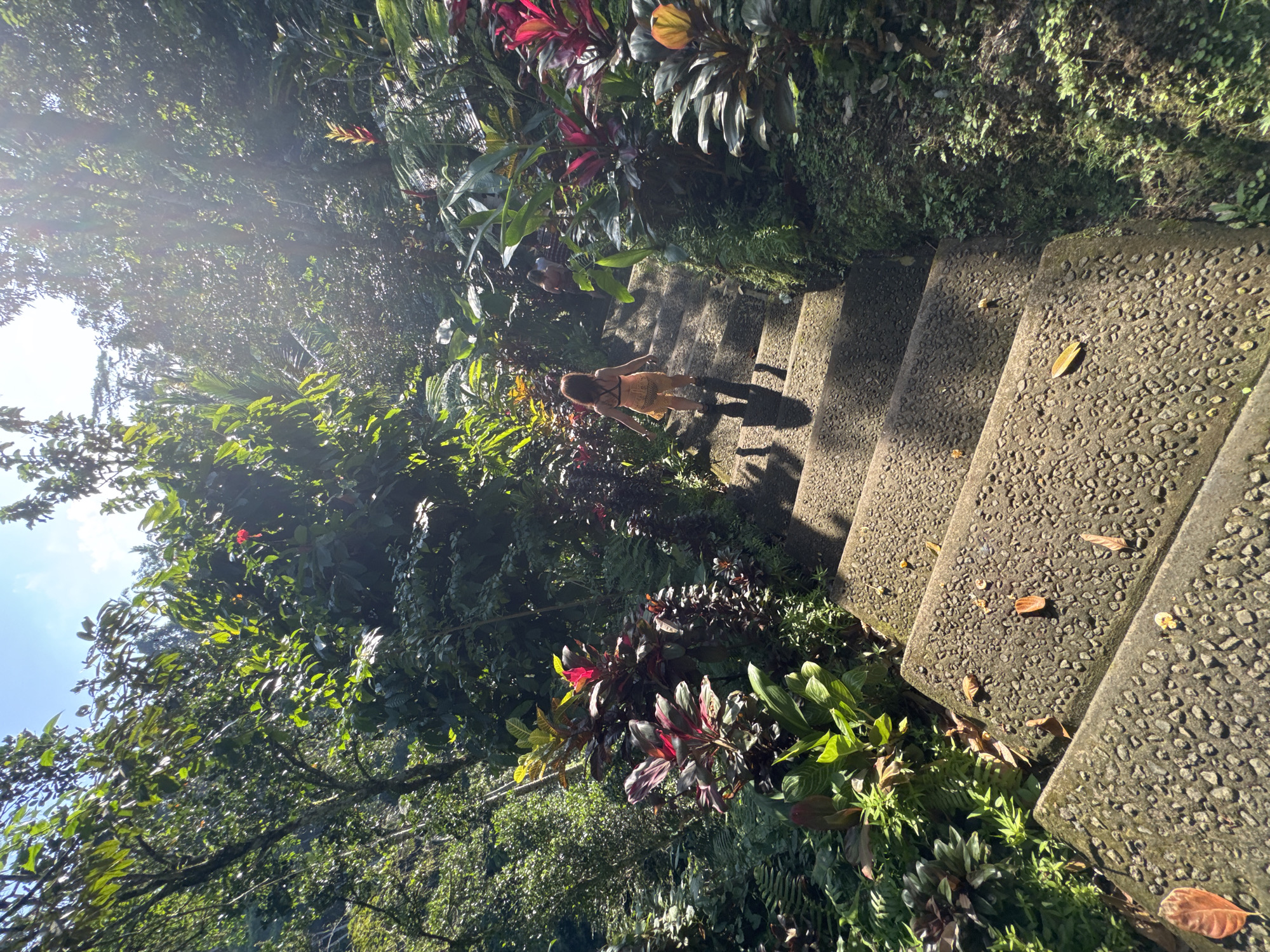 In Tembuku, Indonesia, a young child wearing an orange knitted outfit is walking down a textured concrete staircase. The stairs are surrounded by lush, green foliage and vibrant red and purple plants. Sunlight streams through the trees, casting shadows on the steps and the child. Other individuals are visible further down the stairs, also descending. The scene is outdoors and appears to be in a tropical or subtropical environment.