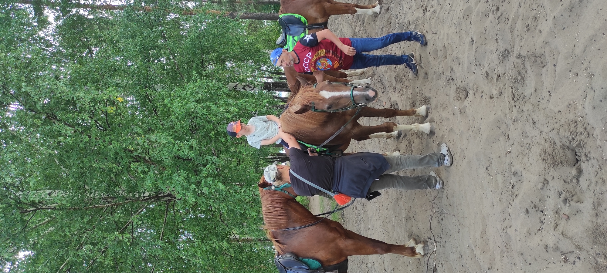 The image shows three people and three horses in a wooded, sandy area, likely a riding stable. The main subjects are two men and one child, all engaged in what appears to be horseback riding. The man in the foreground, wearing a black t-shirt and grey pants, is facing away from the camera and is holding the reins of a brown horse. He is wearing a camouflage baseball cap. To his left, a child is seated on a lighter brown horse, wearing a light blue t-shirt and an orange and purple baseball cap. Behind the child, another man in a red t-shirt with "CCCP" prominently displayed in white lettering is standing. He is wearing blue jeans and a blue baseball cap. This man is also facing away from the camera and seems to be attending to the horses.
The setting is outdoors, with tall green trees forming a backdrop, suggesting a forest or wooded park. The ground is sandy with some scattered pebbles and dried leaves. The lighting indicates it is daytime, and the overcast sky, if present, or the shade from the trees, suggests it might be a cloudy day or late afternoon. The overall mood appears relaxed and casual, likely a recreational outing. One of the horses in the foreground has a bright green saddle pad with a white star logo on it. Another horse further back also has a similar saddle pad. The horses are brown, with one being lighter in color than the others. The image is oriented sideways, with the subjects and horses appearing vertically.
