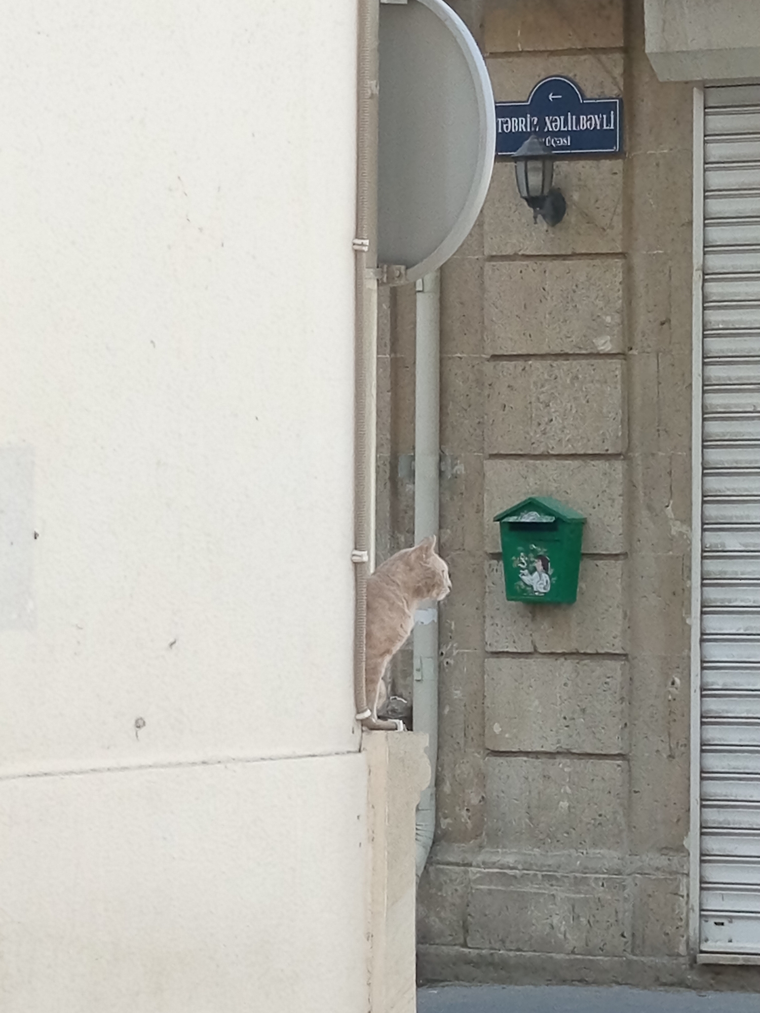 A ginger cat is perched on a ledge next to a cream-colored wall. To the right of the cat, on a stone wall, is a green mailbox decorated with white figures. Above the mailbox, a street sign reads "TƏBRİZ XƏLİLBƏYLİ CƏSƏDİ" with a blue arrow pointing left. A street lamp is mounted below the sign. In the background, a white, corrugated metal shutter covers a storefront. The scene appears to be on a street in Baku, Azerbaijan, likely in an older district given the architecture.