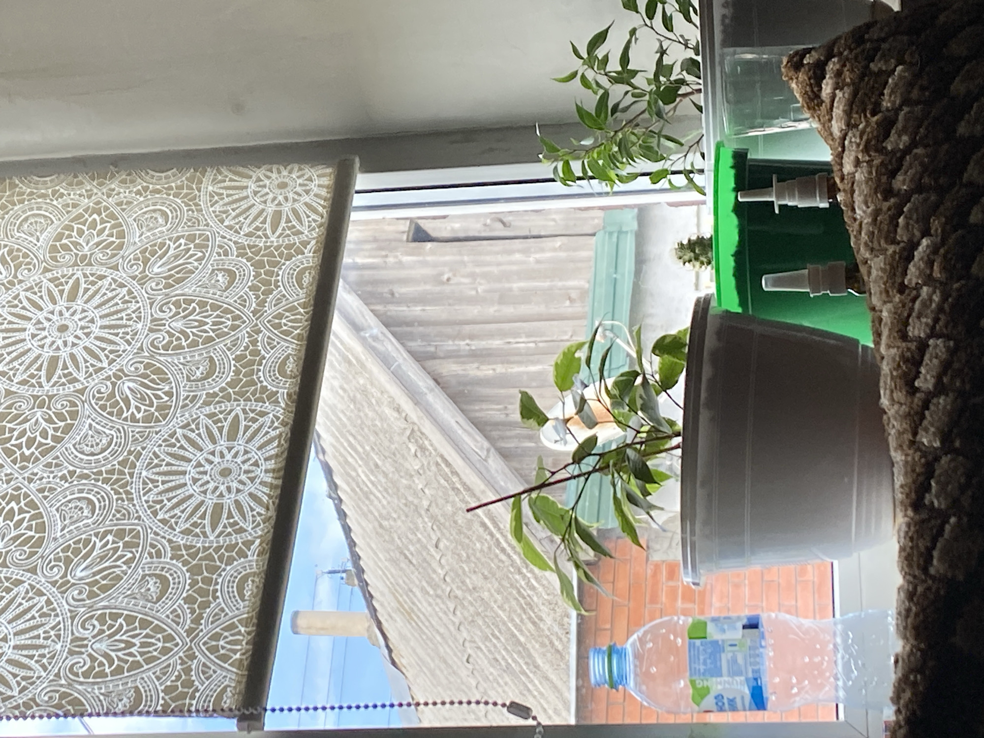 A slightly high-angle, close-up interior shot captures a windowsill overlooking a rural landscape. The foreground is dominated by a white plastic plant pot containing a ficus plant with green leaves and a thin reddish stem. To the left of the plant pot is a clear plastic water bottle with a blue cap, filled with water, and a label with Russian text. Behind the ficus plant, to the right, are two smaller spray bottles, one with a white cap and a brown base, and another with a white nozzle. A small, spiky green cactus is visible in a green plastic pot behind the ficus. The windowsill is covered with a textured brown and beige woven material. In the background, visible through the window, is a view of a corrugated roof of a building, likely a house, made of grey material. A wooden wall of another building is also visible. The sky is bright blue. A beaded chain, likely for a blind, hangs down the left side of the frame. The scene appears to be in Kisliakovskaya, Russia, given the presence of a bead chain.