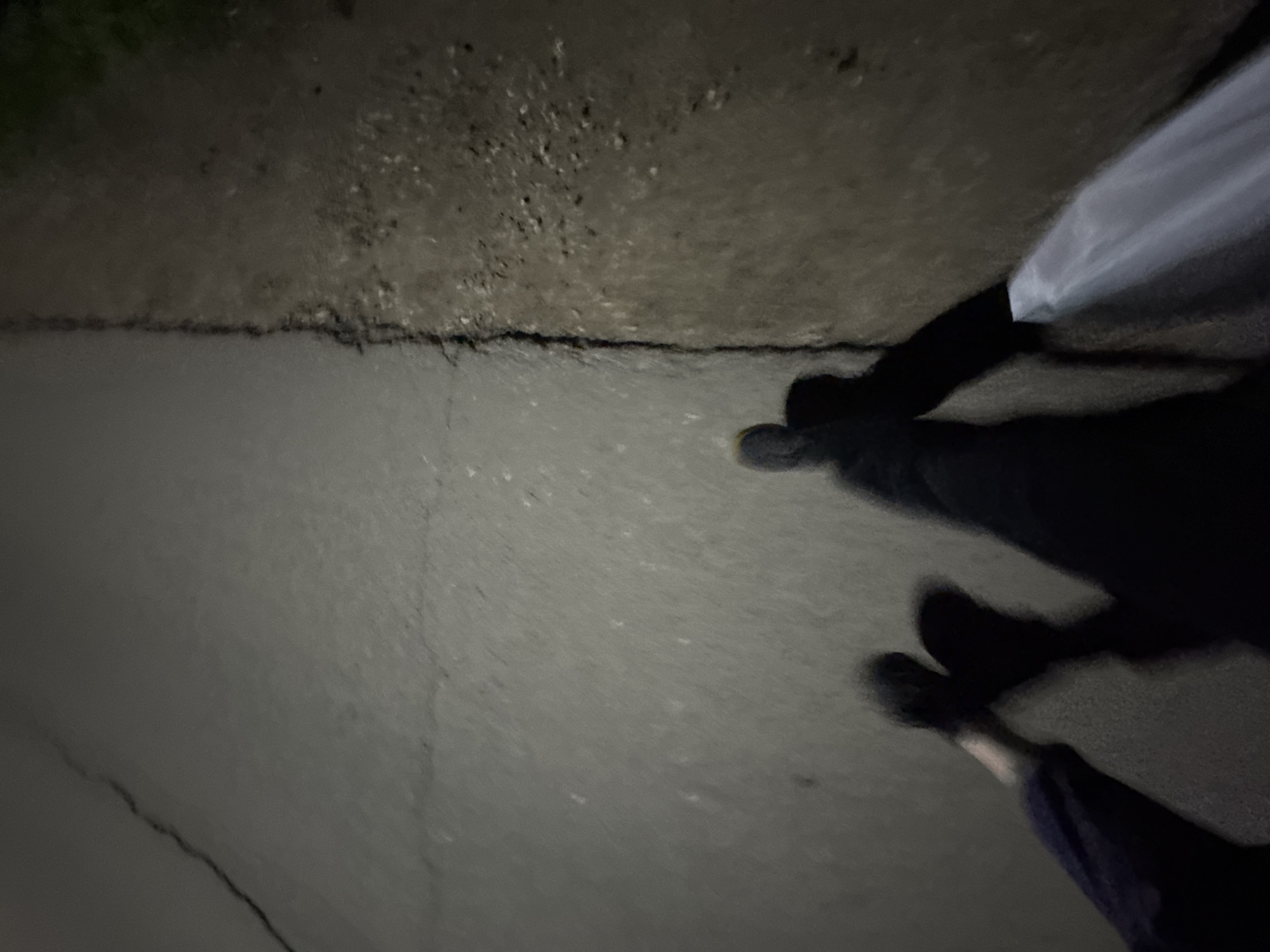 The image depicts a first-person perspective of two individuals walking on a paved surface that appears to be a sidewalk or a path. The lighting suggests it is nighttime or a dimly lit area. The path is cracked, with a distinct fissure running diagonally across it. To the right of the path is a rougher, unpaved surface with scattered small stones and a hint of greenery.
One individual's legs and feet are visible in the foreground, wearing dark pants and shoes. Their shadow is cast on the path. Another individual's legs and feet are also partially visible, with one leg extending forward. This second individual is holding a white object, possibly a bag or fabric, which is trailing behind them. Both individuals are in motion, indicated by the blurred appearance of their legs and the shadows.
The overall impression is of two people walking together outdoors in a relatively urban or suburban environment, possibly a park or a quiet street, at night. The precise location is unknown.