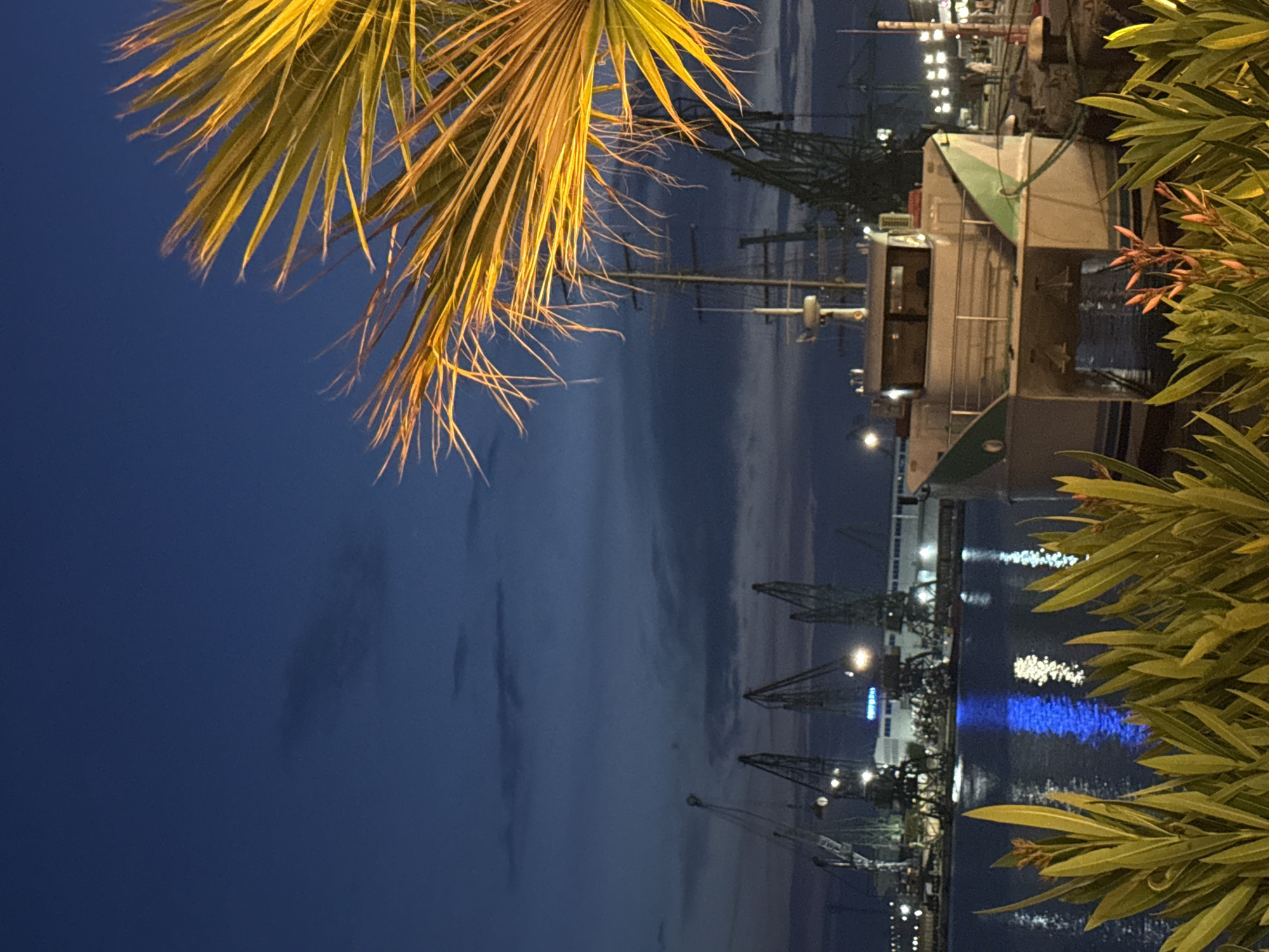 This image depicts a nighttime scene at the Port of Varna, Bulgaria, specifically looking towards the commercial harbor from what appears to be a promenade or marina area. The sky is a deep twilight blue with scattered, indistinct dark clouds. In the immediate foreground, dense green foliage, likely oleander bushes, with some reddish flower buds, partially obstructs the view. A large palm tree frond, brightly illuminated by an unseen artificial light source, extends across the upper right quadrant, displaying warm yellow and orange tones.
In the mid-ground, a white catamaran-style boat with distinctive green stripe accents is docked. Behind and to the left of this boat, the industrial port is visible, dominated by several towering gantry cranes. These cranes and various port structures are illuminated by artificial lights, casting bright reflections, including a prominent blue one, onto the dark water. The water itself is calm, reflecting the lights from the port and the twilight sky. No specific human figures are clearly discernible, though the presence of structures and lighting suggests human activity in the broader port environment. The overall environment combines elements of a leisure waterfront with a working industrial port.