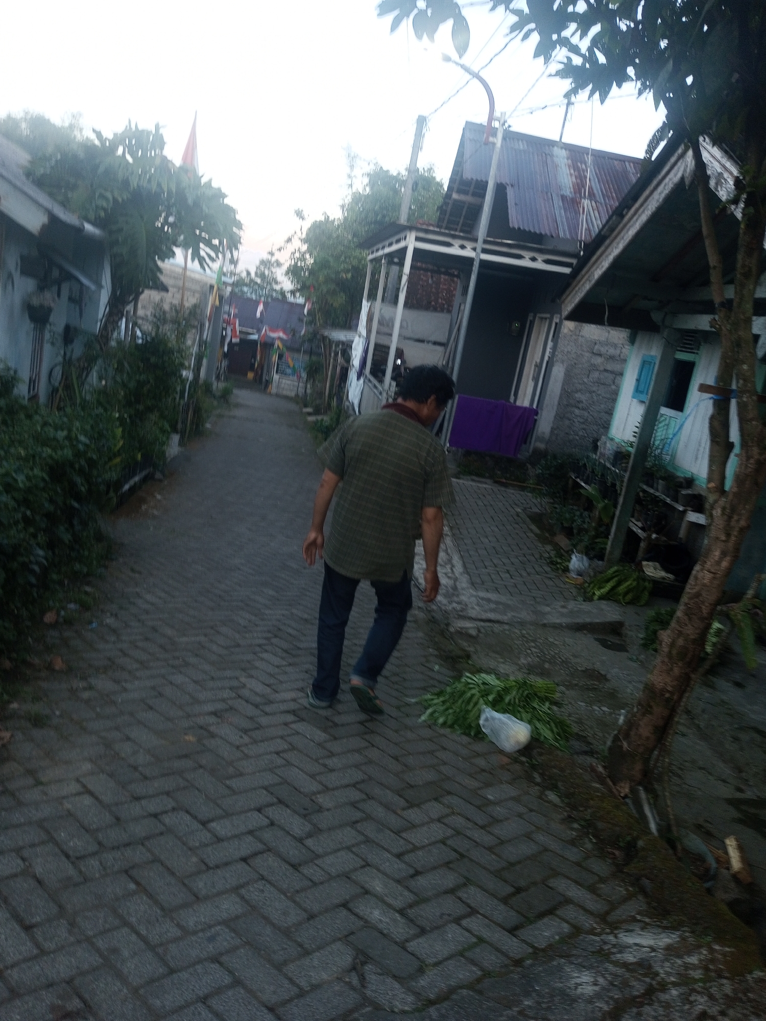 In Andongsili, Indonesia, a person walks down a narrow cobblestone path. The person, wearing a checkered short-sleeved shirt and dark pants, is moving away from the camera towards a street lined with buildings and trees. The sky is overcast, and the lighting suggests it is early morning or late afternoon. To the right of the path, a pile of green leafy vegetables is visible, some of which are contained within a translucent plastic bag. A tree trunk is positioned on the right side of the frame. Buildings on either side of the path appear to be simple residential structures with corrugated metal roofs. Flags are displayed on some of the buildings, adding a touch of local decoration. The overall scene depicts a quiet, everyday moment in a residential area.