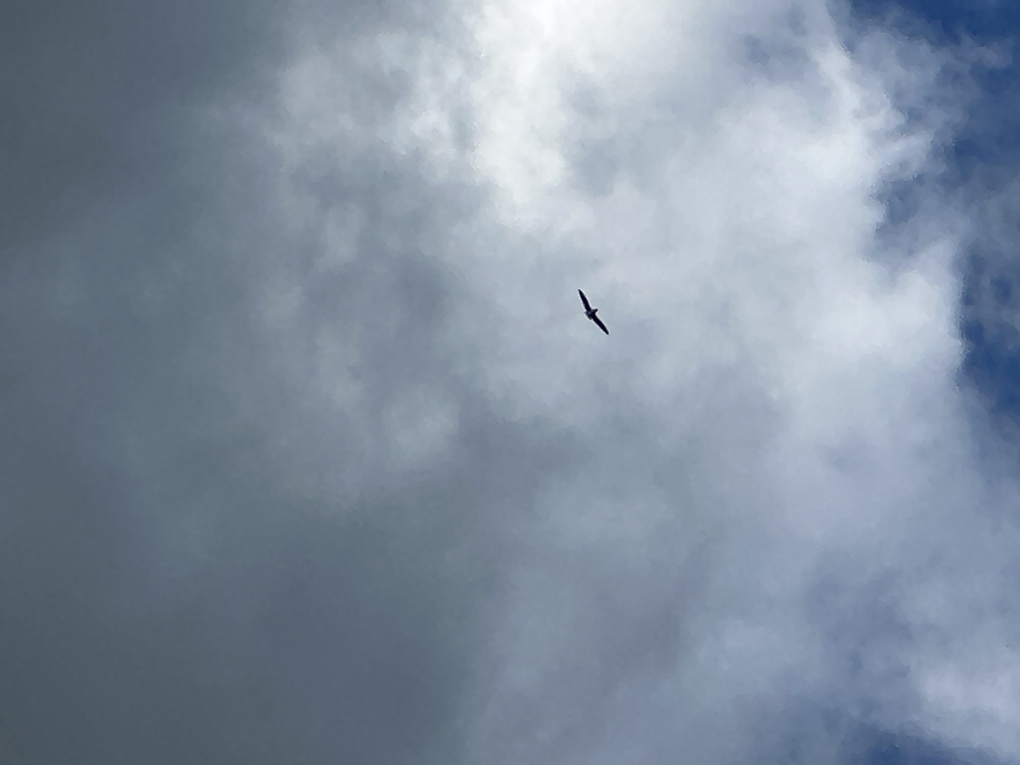 The image captures a solitary bird in flight against a cloudy daytime sky. The bird, seen from below as a dark silhouette with outstretched wings, is positioned slightly above the center of the frame, soaring towards the upper left. The sky is largely covered by a mix of gray and white clouds. A bright, almost luminous patch of white cloud occupies the upper central and right portions of the image, suggesting the location of the sun or a thinner area of cloud cover. A small, clear expanse of blue sky is visible in the upper right corner. The lighting indicates it is daytime, and the weather appears to be partly cloudy with significant cloud cover. The scene evokes a sense of vastness and freedom. No specific ground features or text are visible, but the context indicates the location is Nizhny Novgorod, Russia.