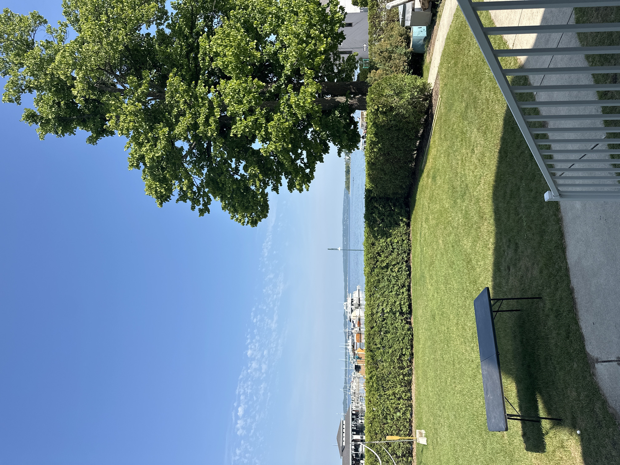 The image shows a backyard with a large green lawn, a black folding table, and a white railing on the right. In the background, there is a dense green hedge, a body of water with several boats docked at a marina, and buildings on the far side. A large tree with lush green leaves stands prominently on the right side of the image, with its branches extending into the clear blue sky. The scene is illuminated by bright sunlight, casting shadows on the lawn. The location is identified as Harbor Springs, United States of America.